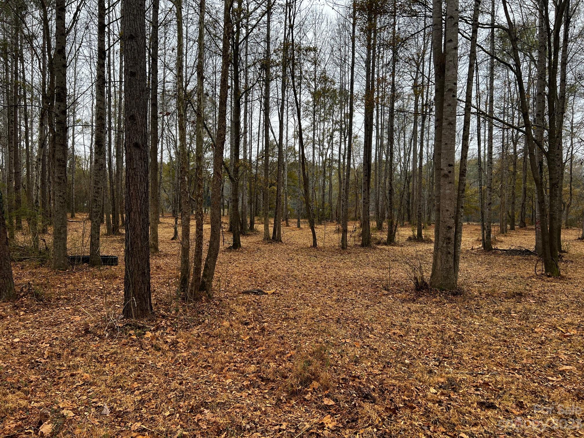 Lot 155 Lookout Dam Road Property Photo 4