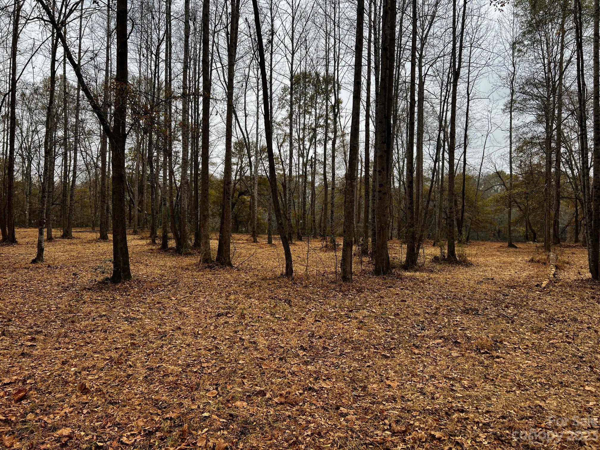Lot 155 Lookout Dam Road Property Photo 5