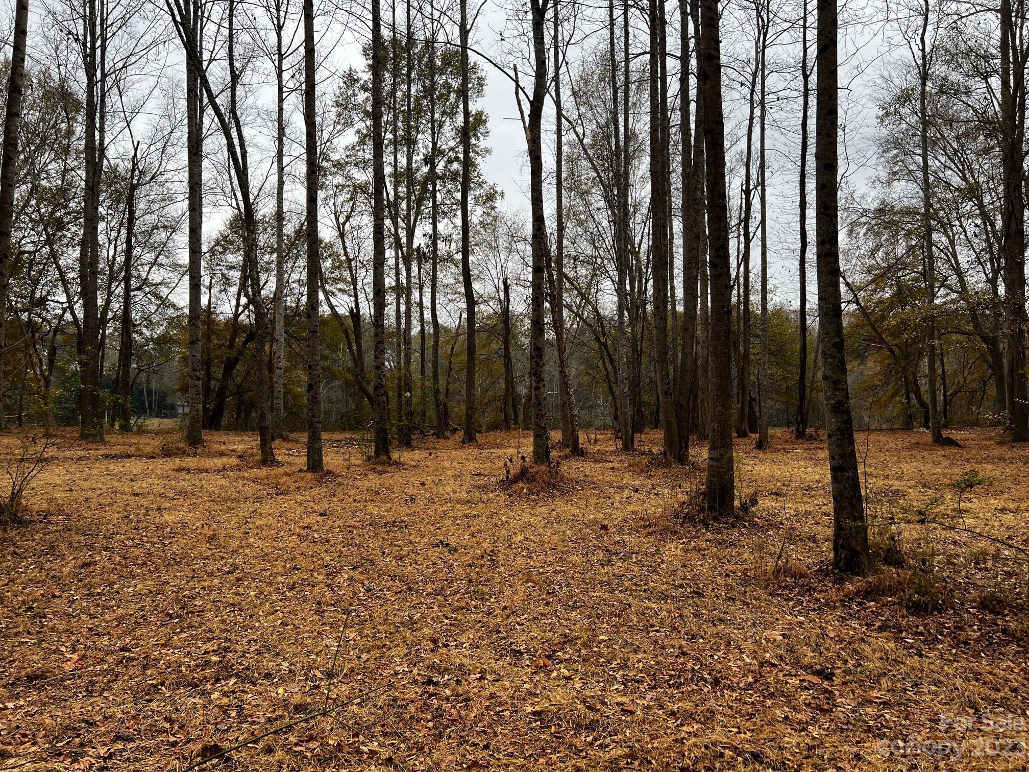 Lot 155 Lookout Dam Road Property Photo 6