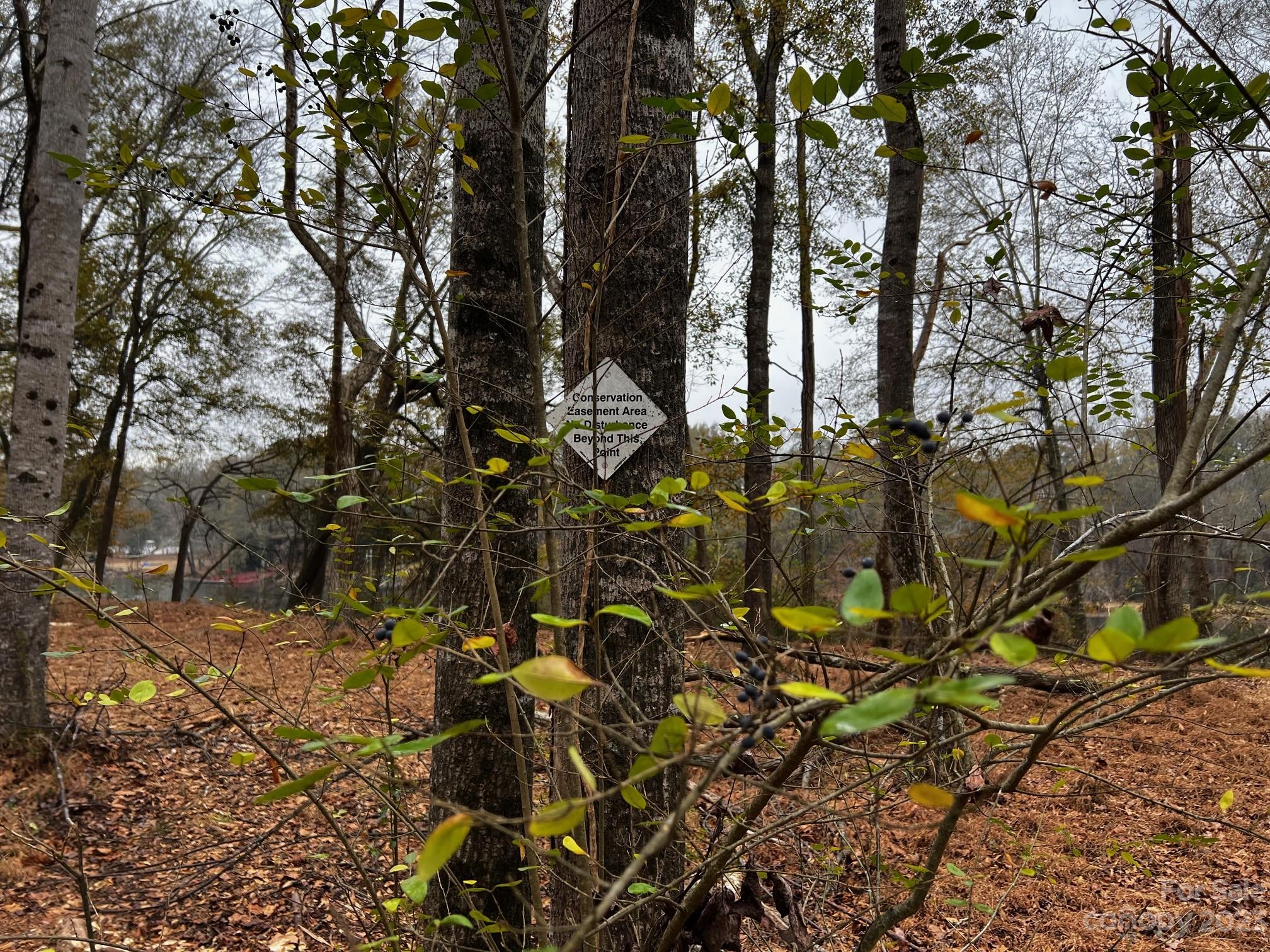Lot 155 Lookout Dam Road Property Photo 7