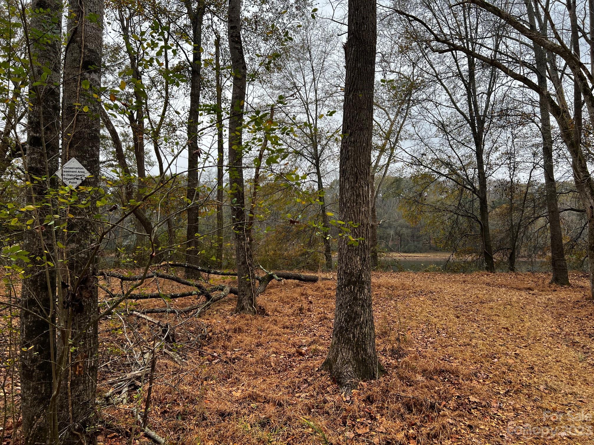 Lot 155 Lookout Dam Road Property Photo 9