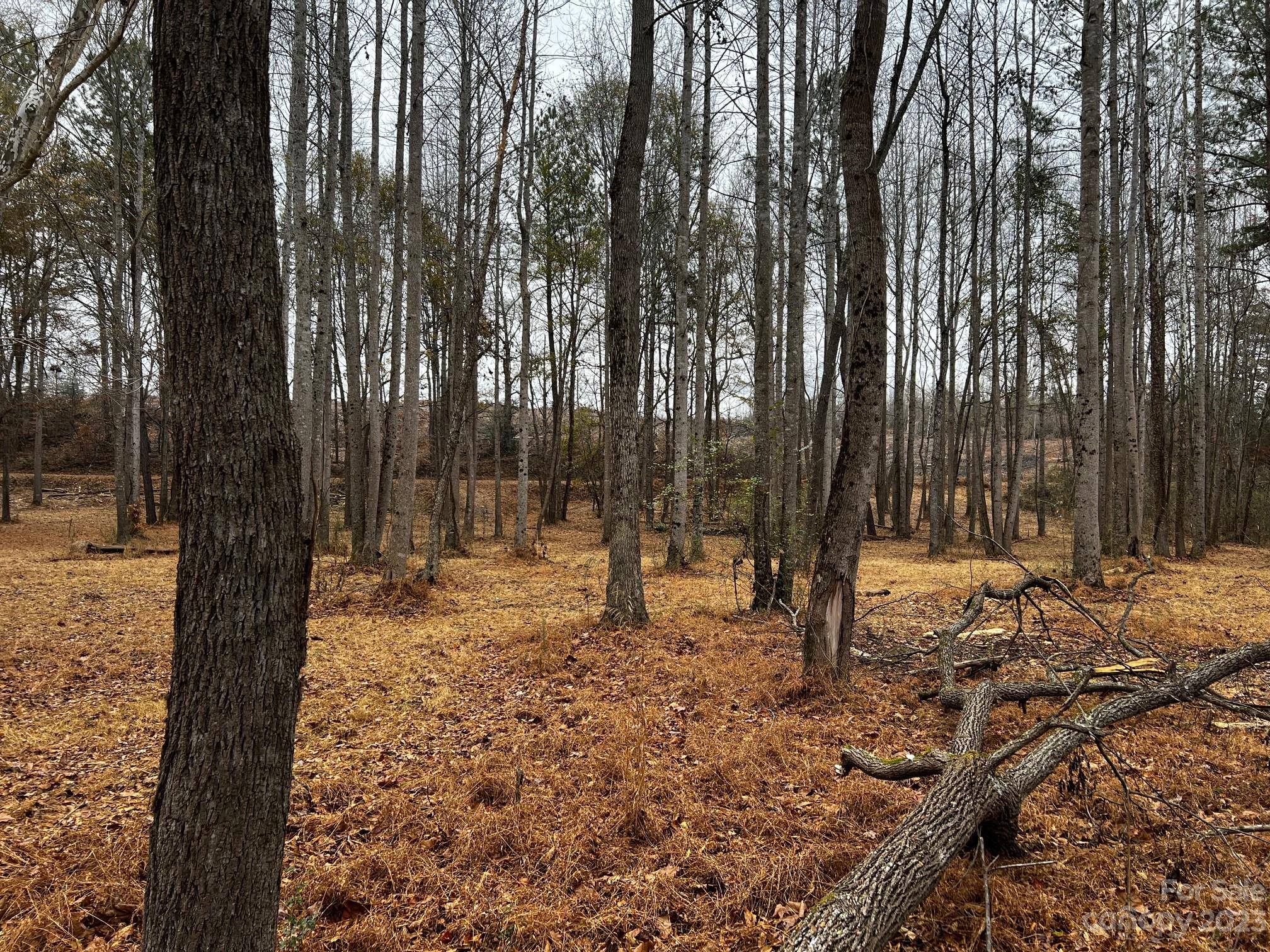 Lot 155 Lookout Dam Road Property Photo 10