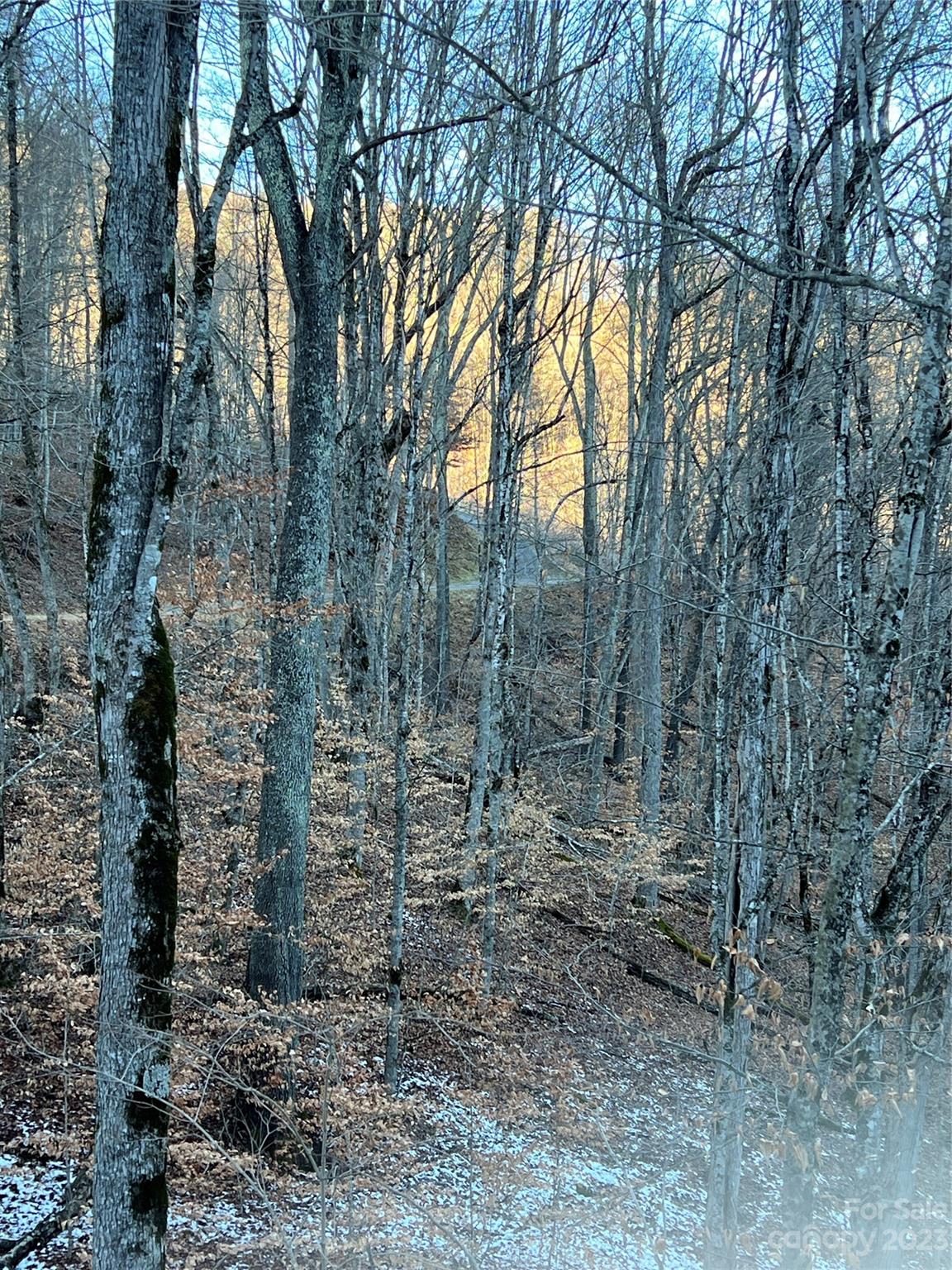 000 Bee Tree Lane 69 Property Photo 1
