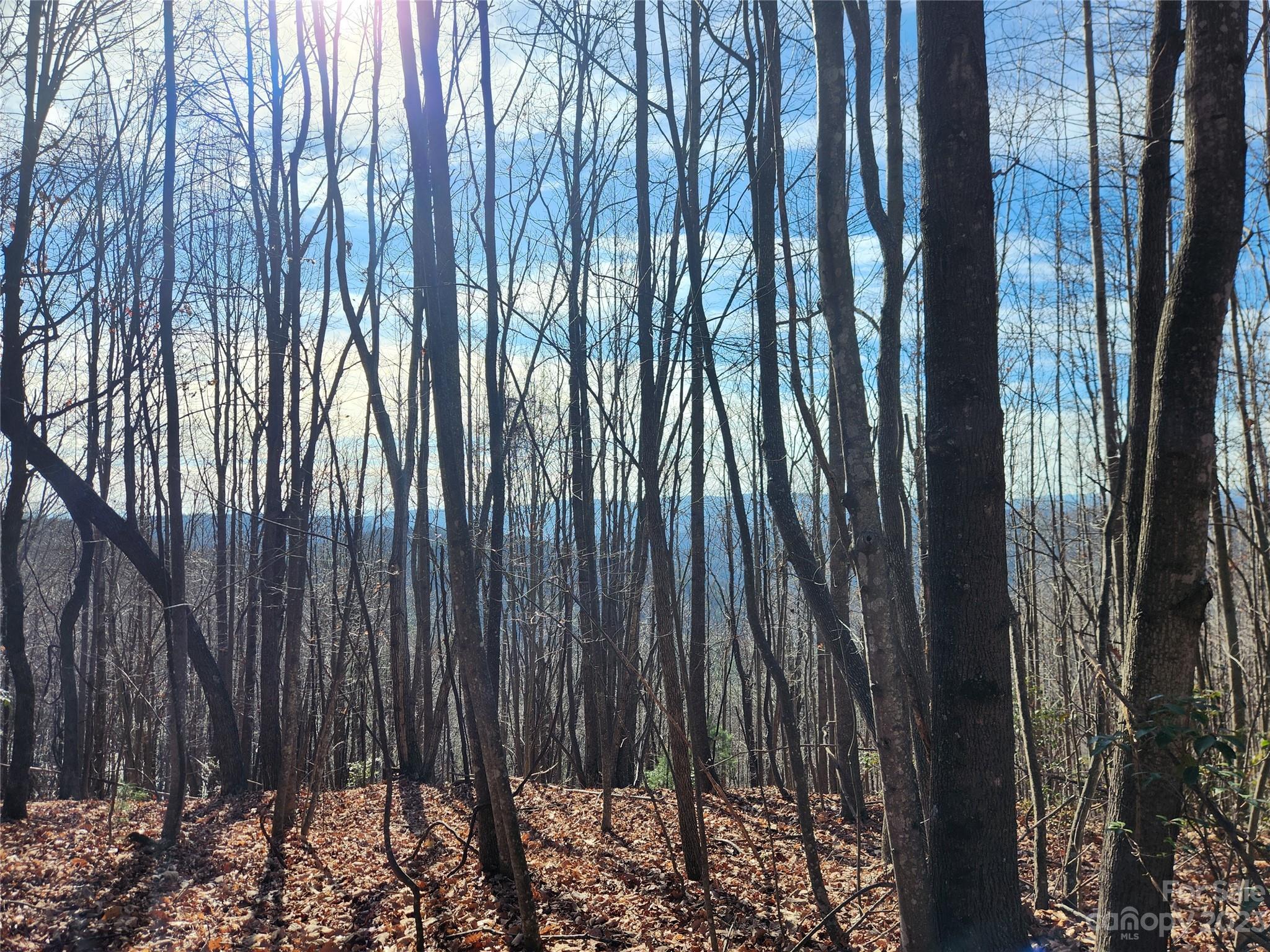 6900 Mertie Road Property Photo 15