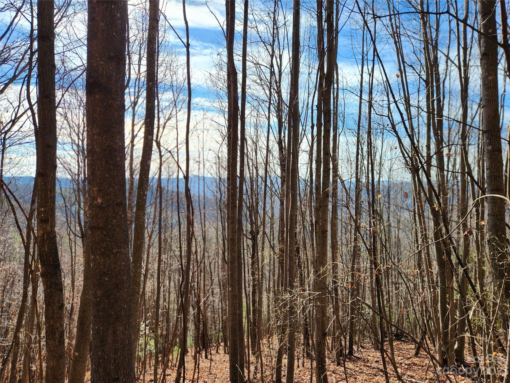 6900 Mertie Road Property Photo 18