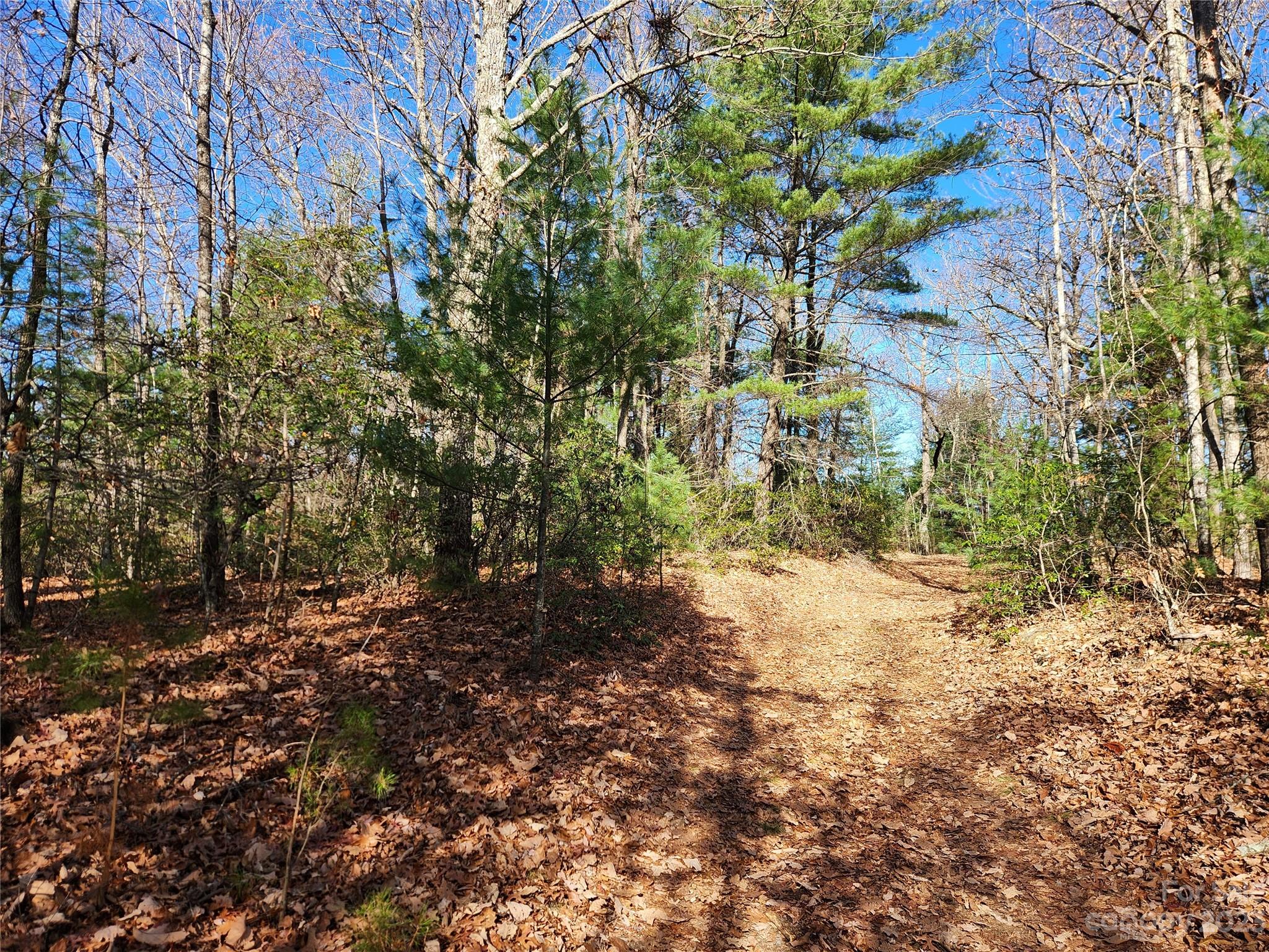 6900 Mertie Road Property Photo 22