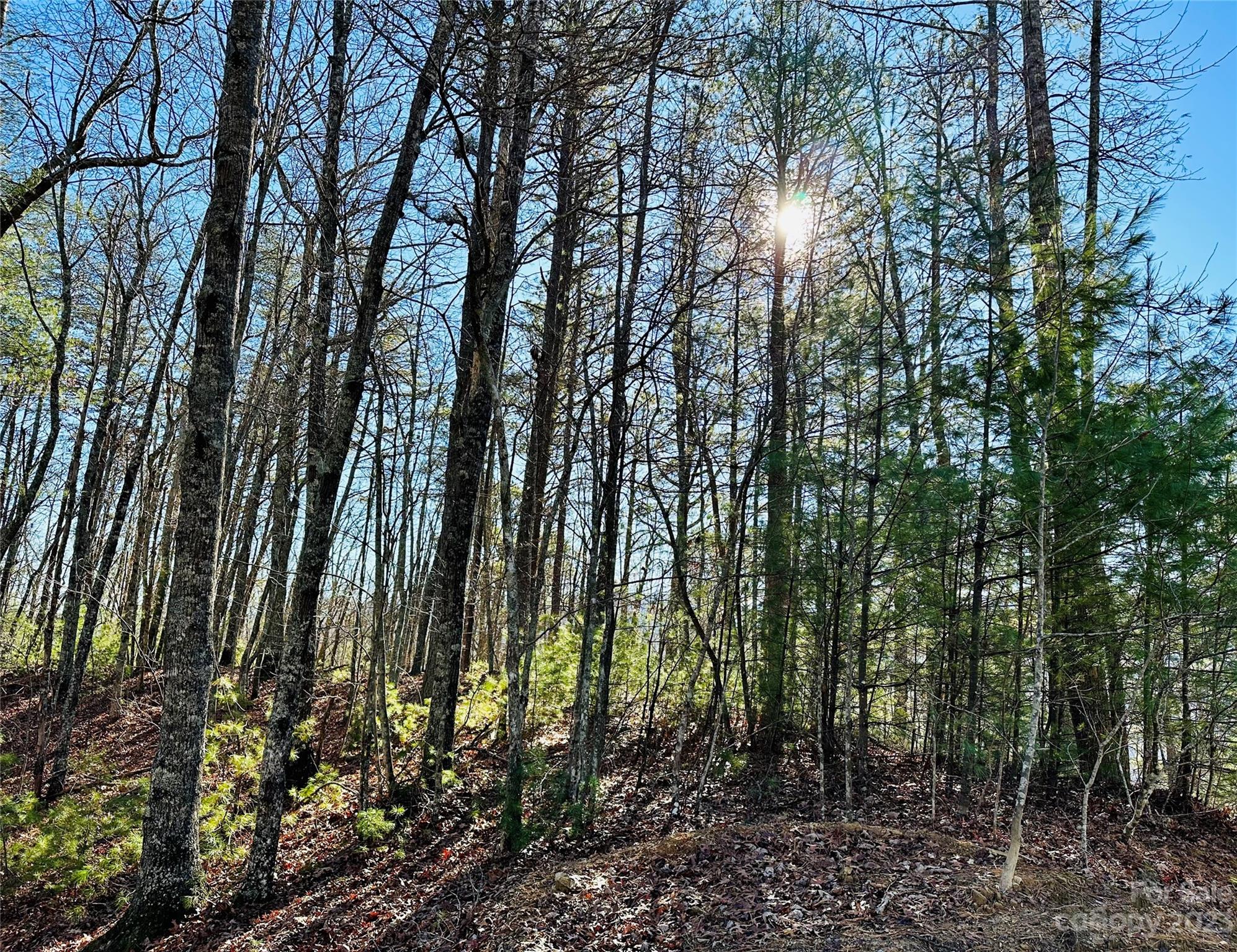 71 Turkey Trot Trail 16 Property Photo 1