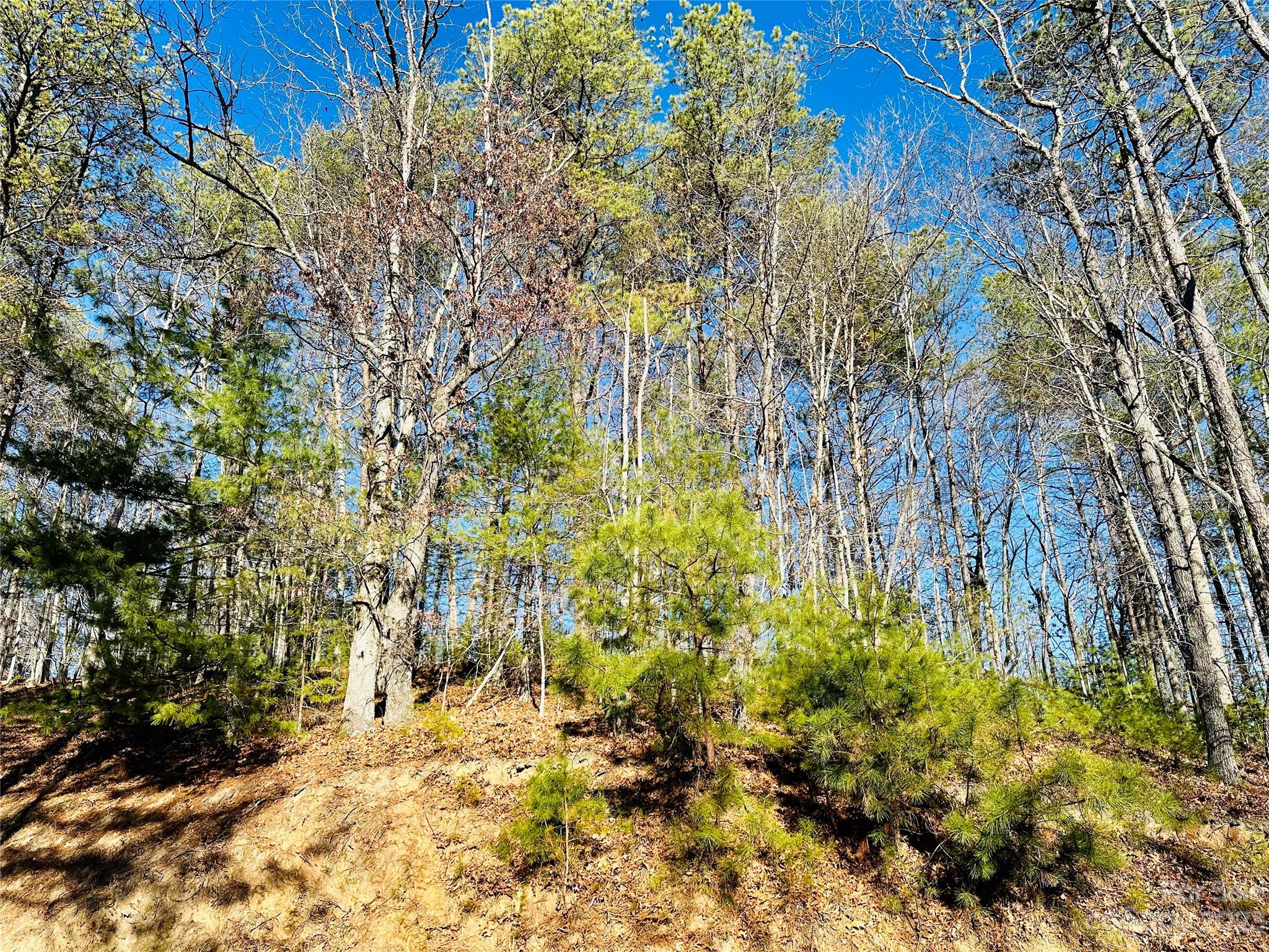 71 Turkey Trot Trail 16 Property Photo 2