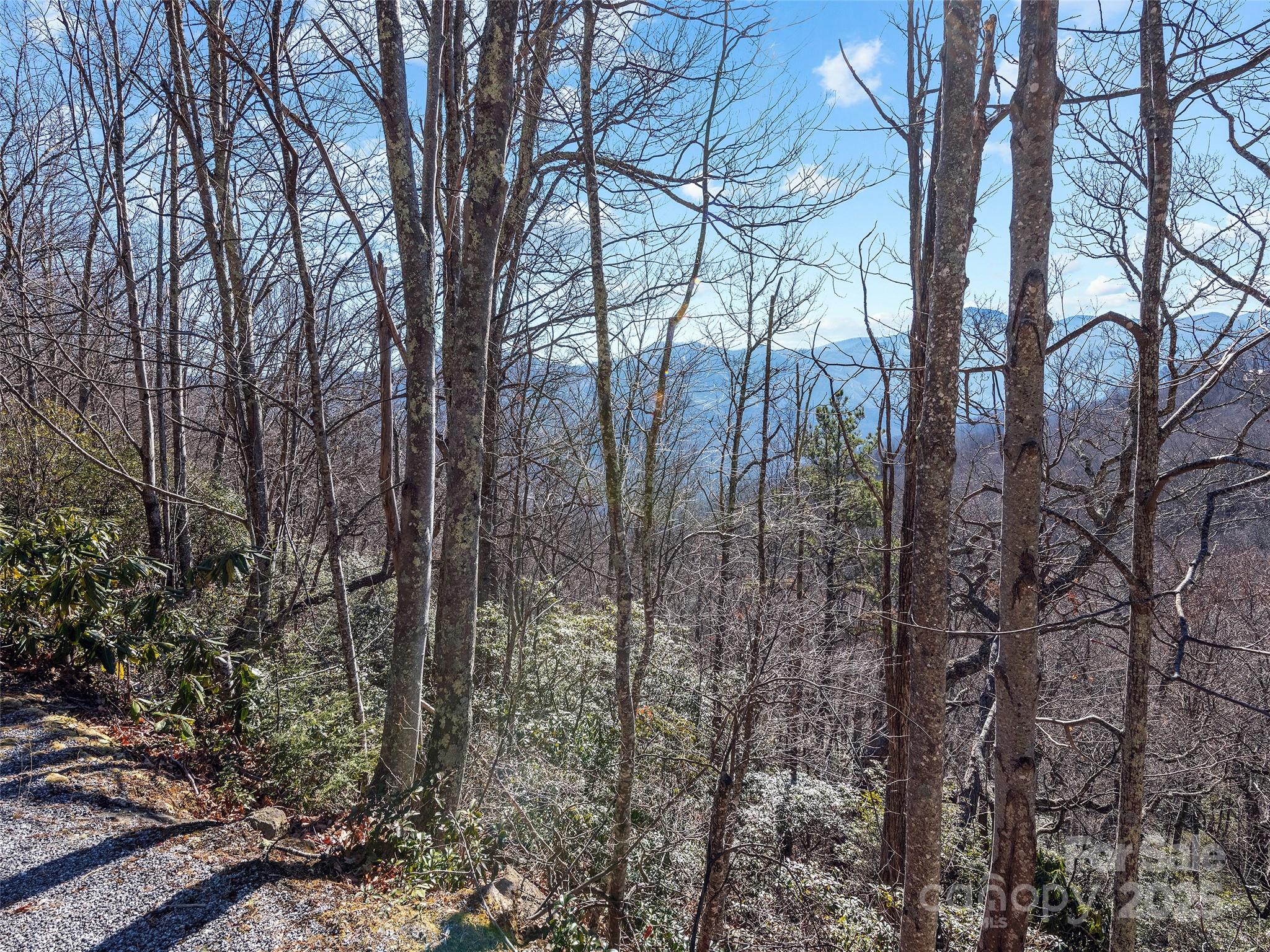 Tbd Laurel Ridge Road Property Photo 5