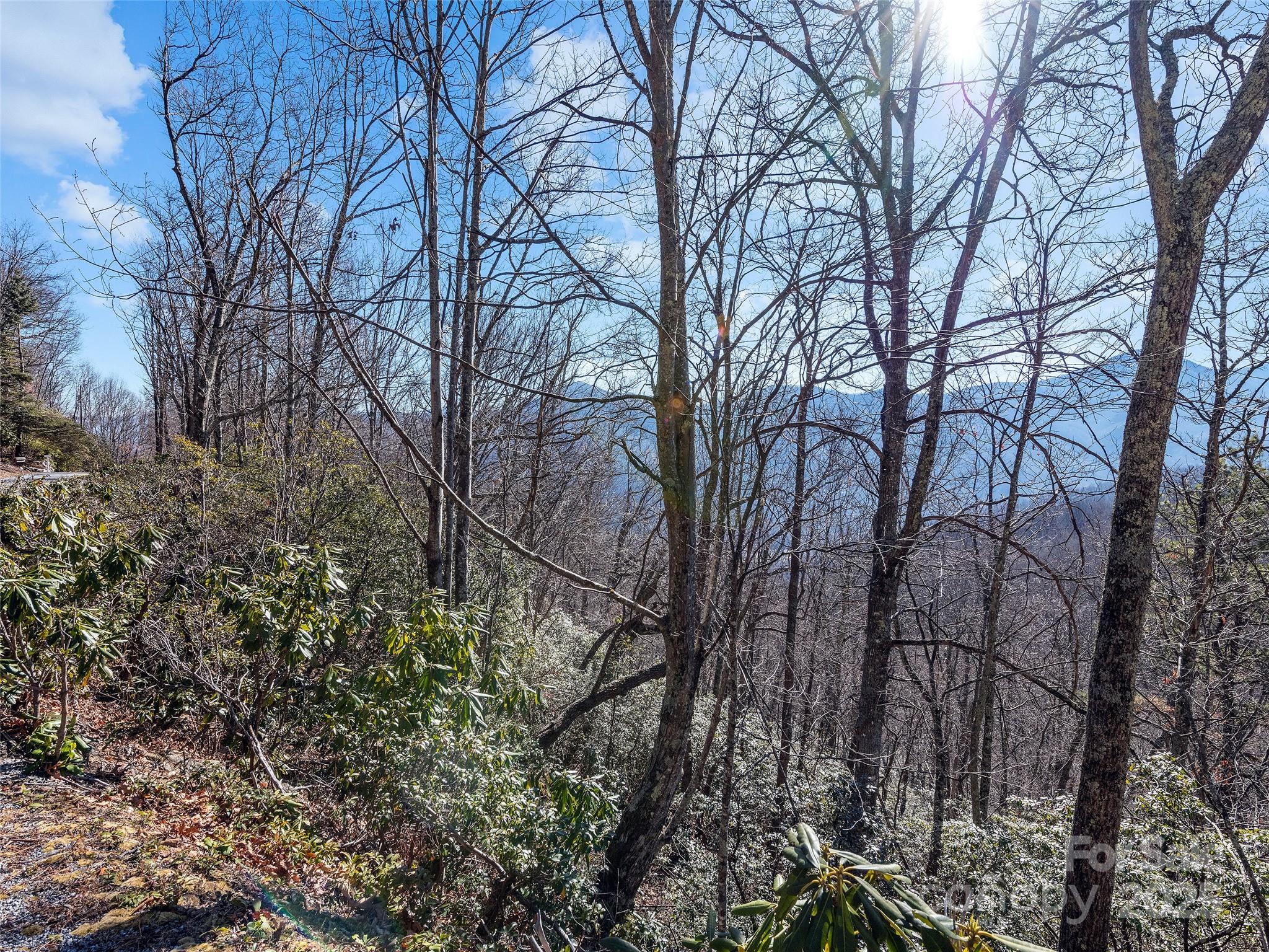 Tbd Laurel Ridge Road Property Photo 6