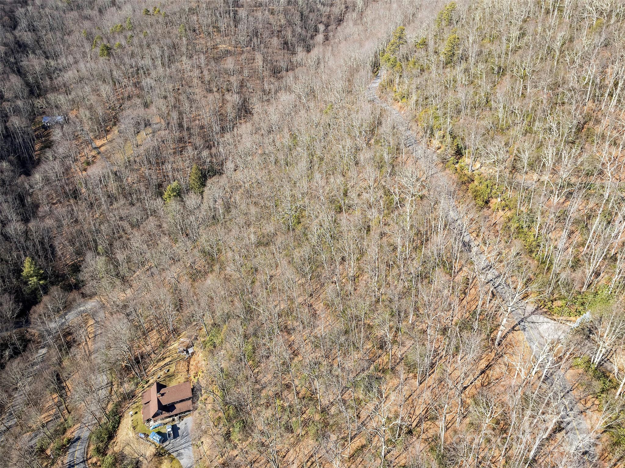 Tbd Laurel Ridge Road Property Photo 12