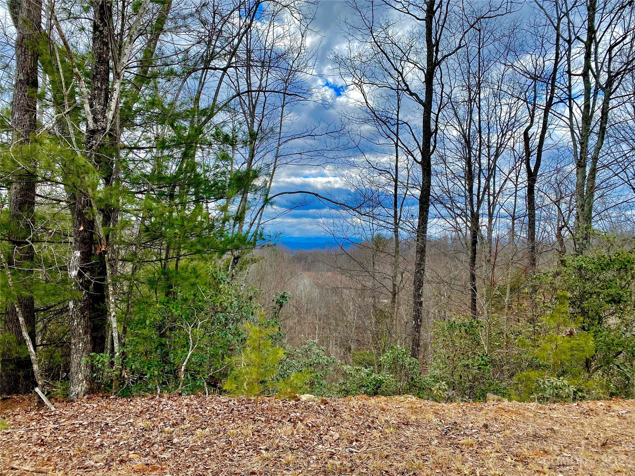 Lot 1 Pinnacle Drive Property Photo 1