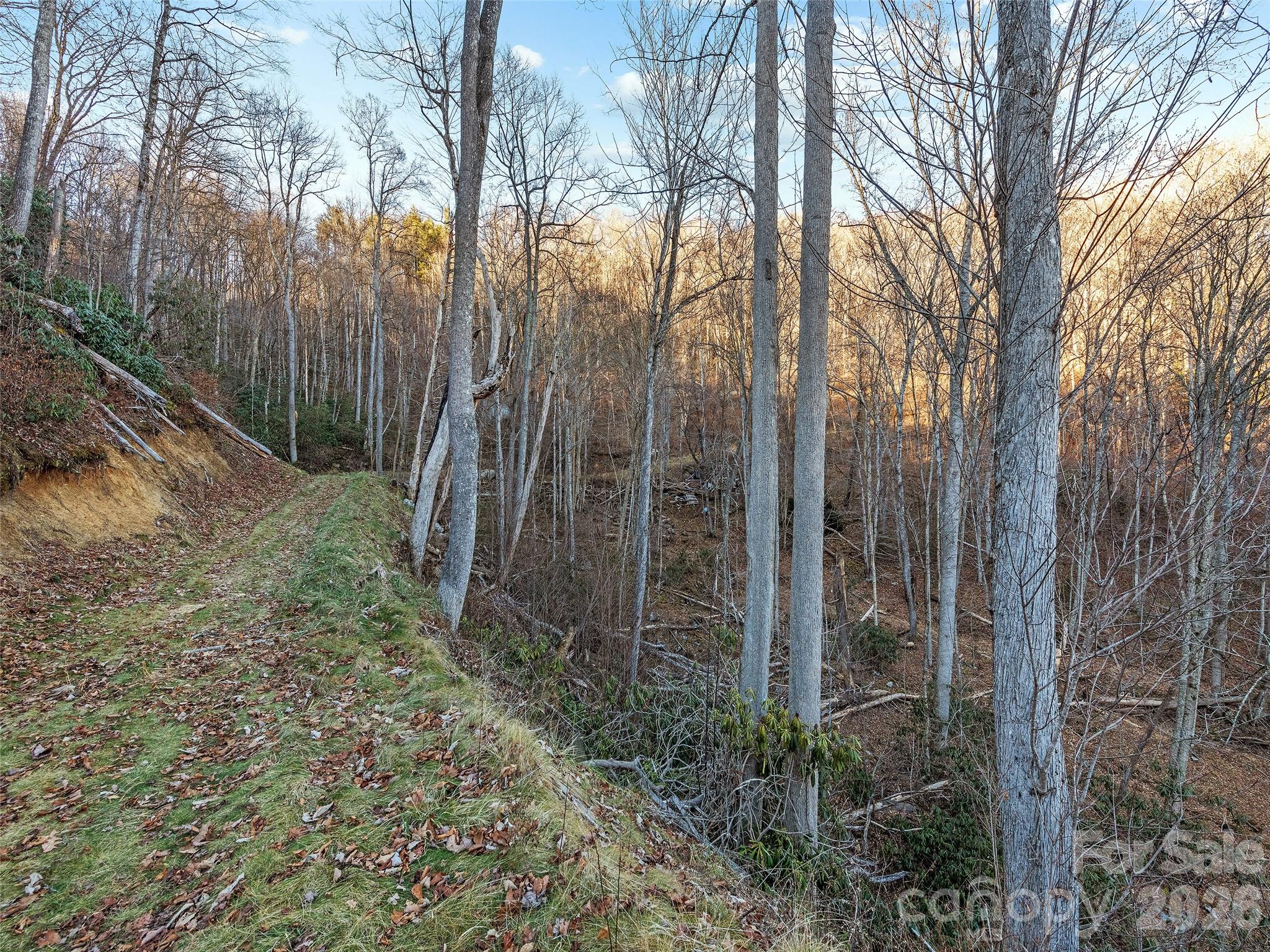 00 Nc 209 Highway Property Photo 9