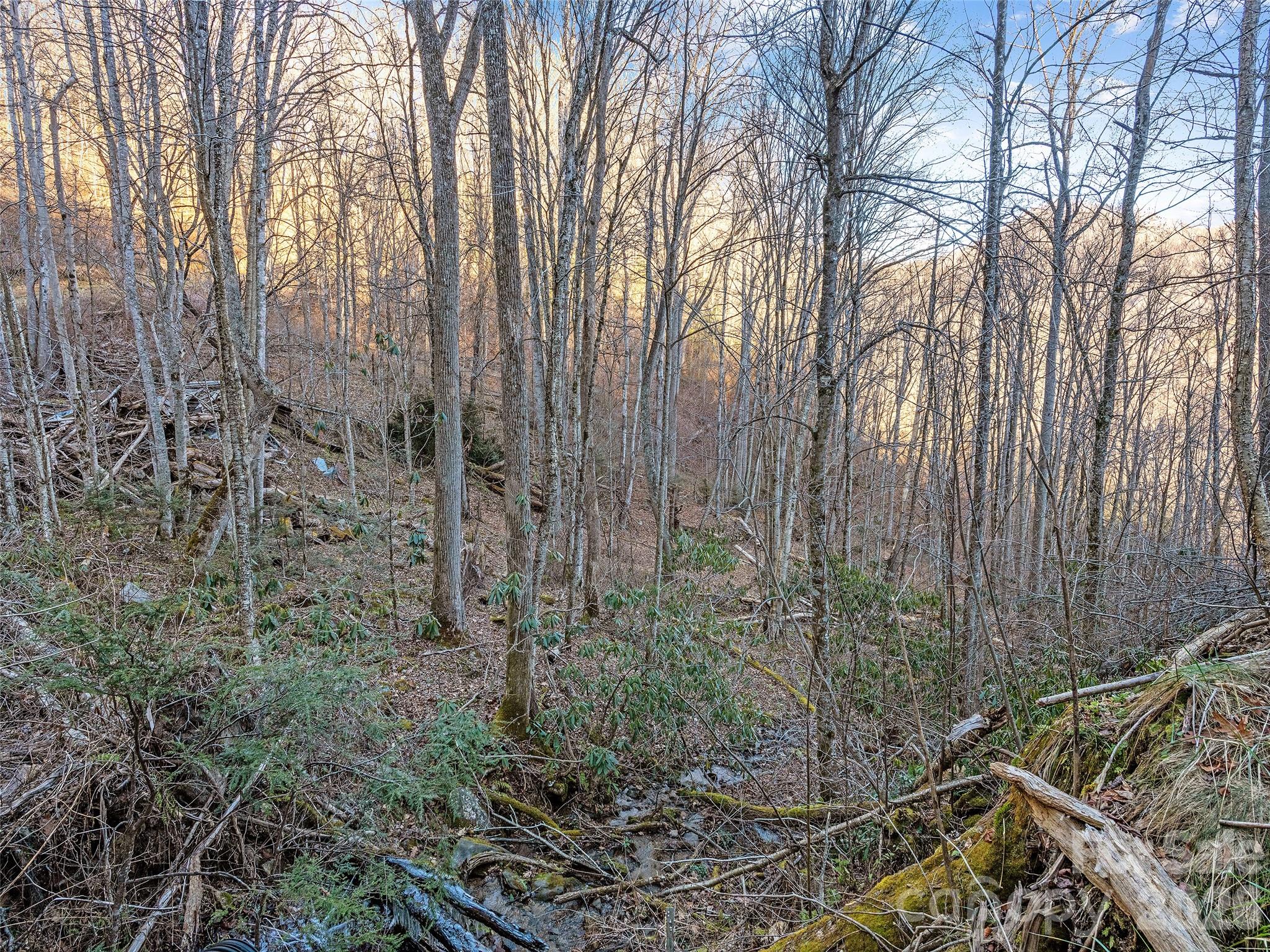 00 Nc 209 Highway Property Photo 10