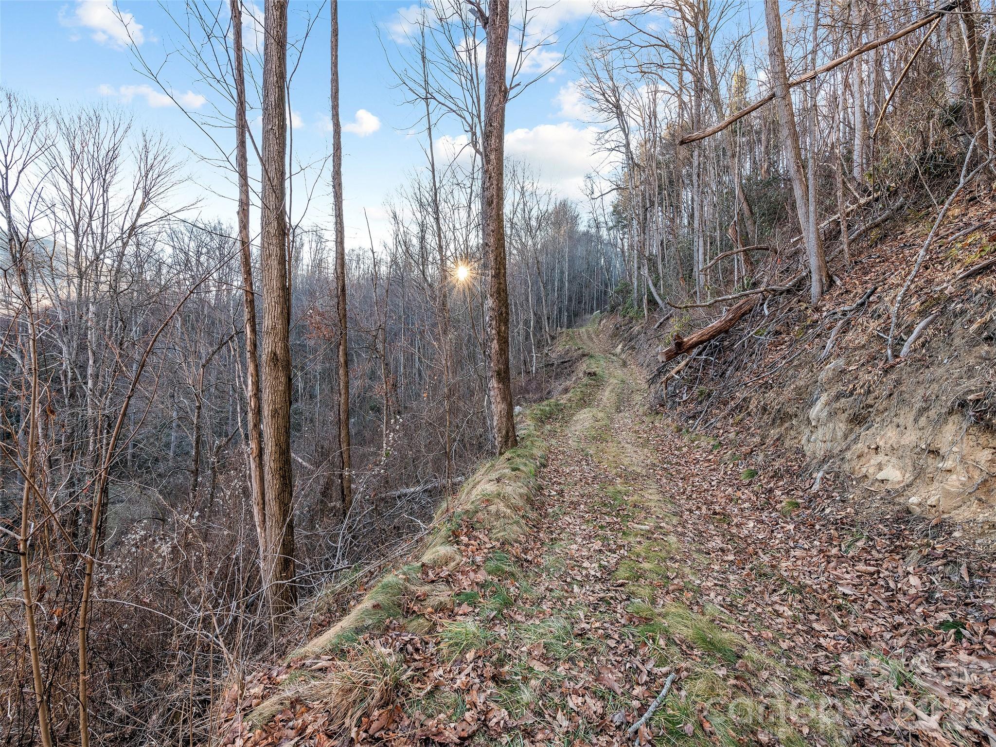 00 Nc 209 Highway Property Photo 15