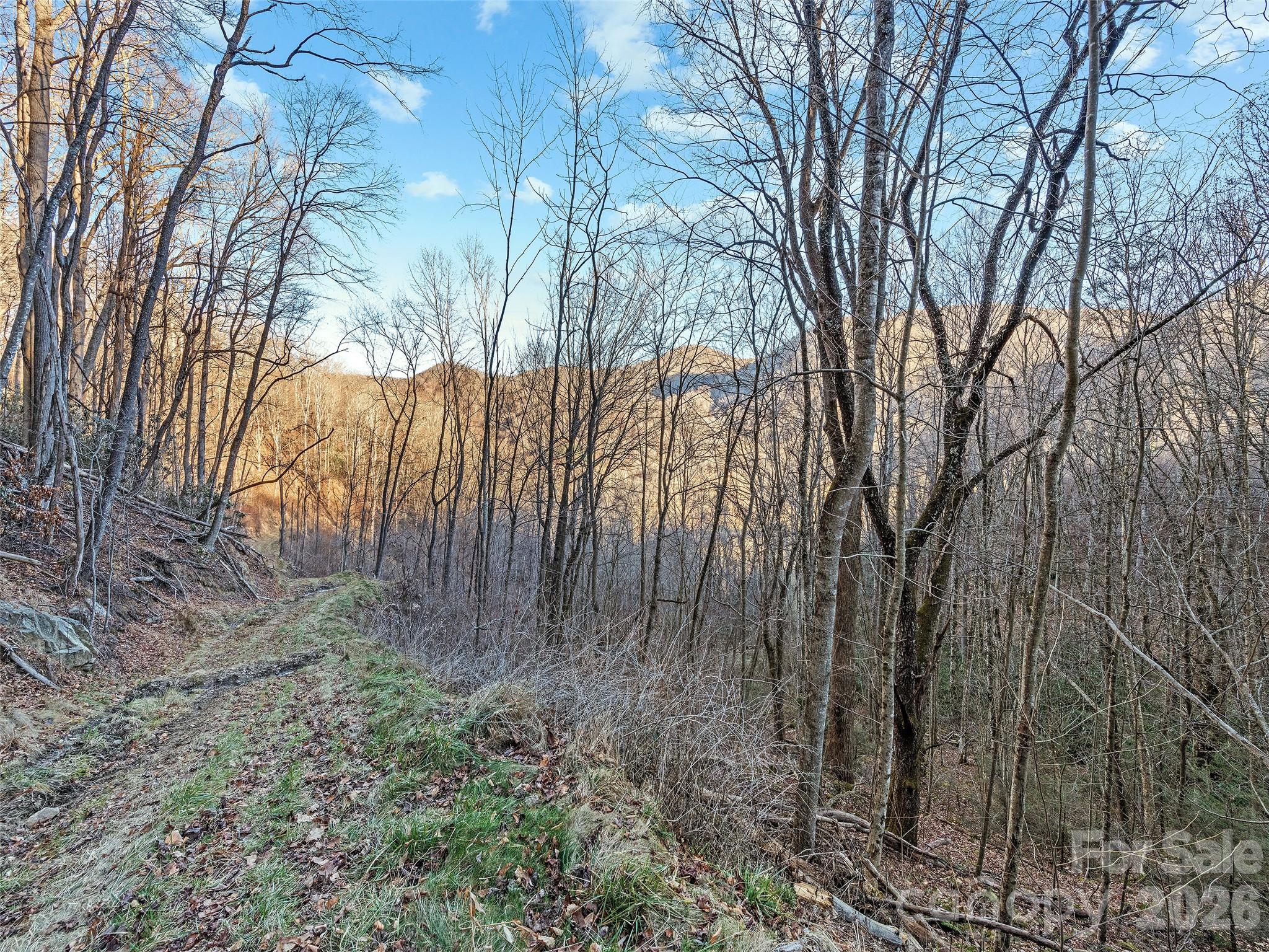 00 Nc 209 Highway Property Photo 16
