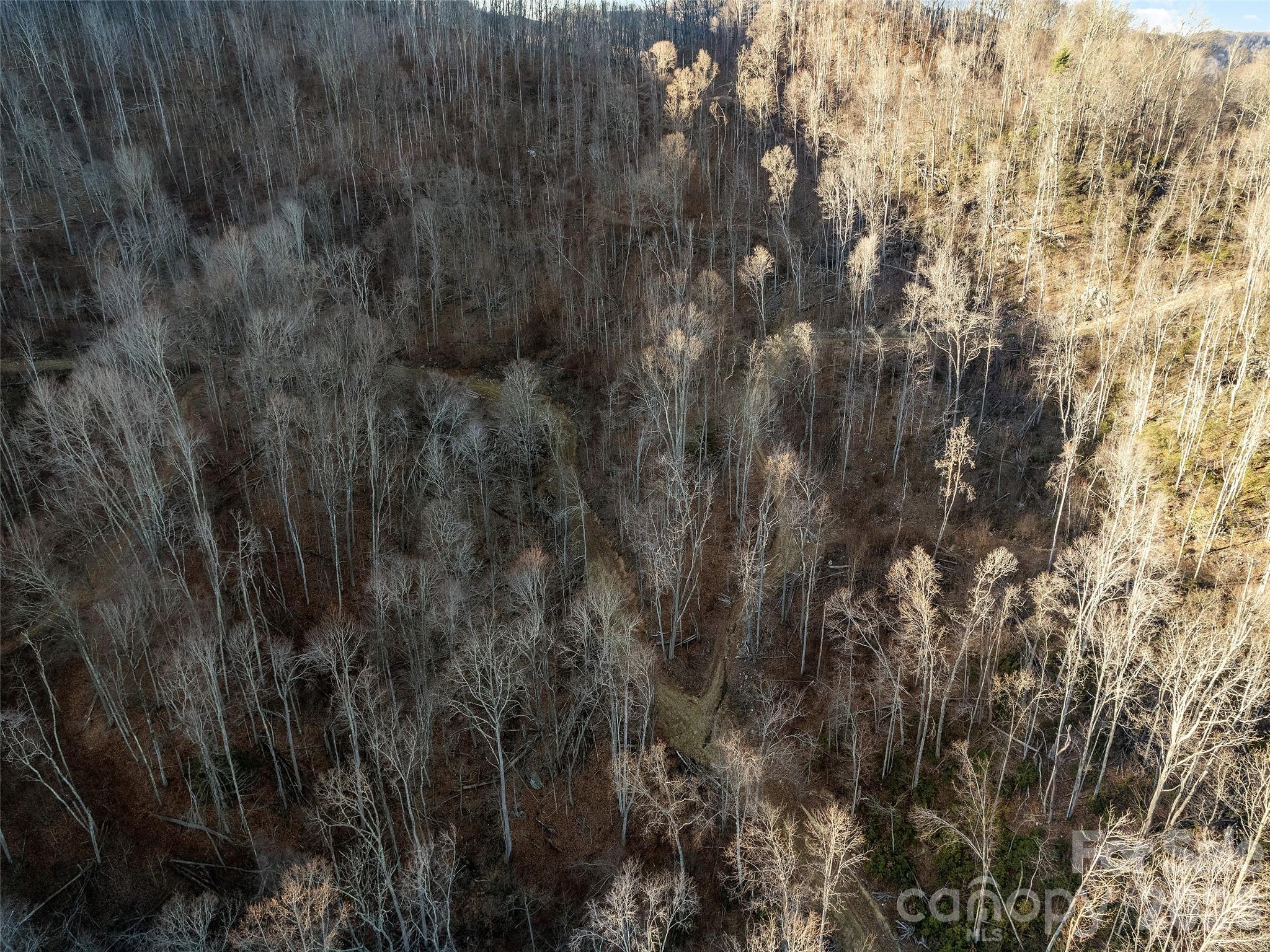 00 Nc 209 Highway Property Photo 20