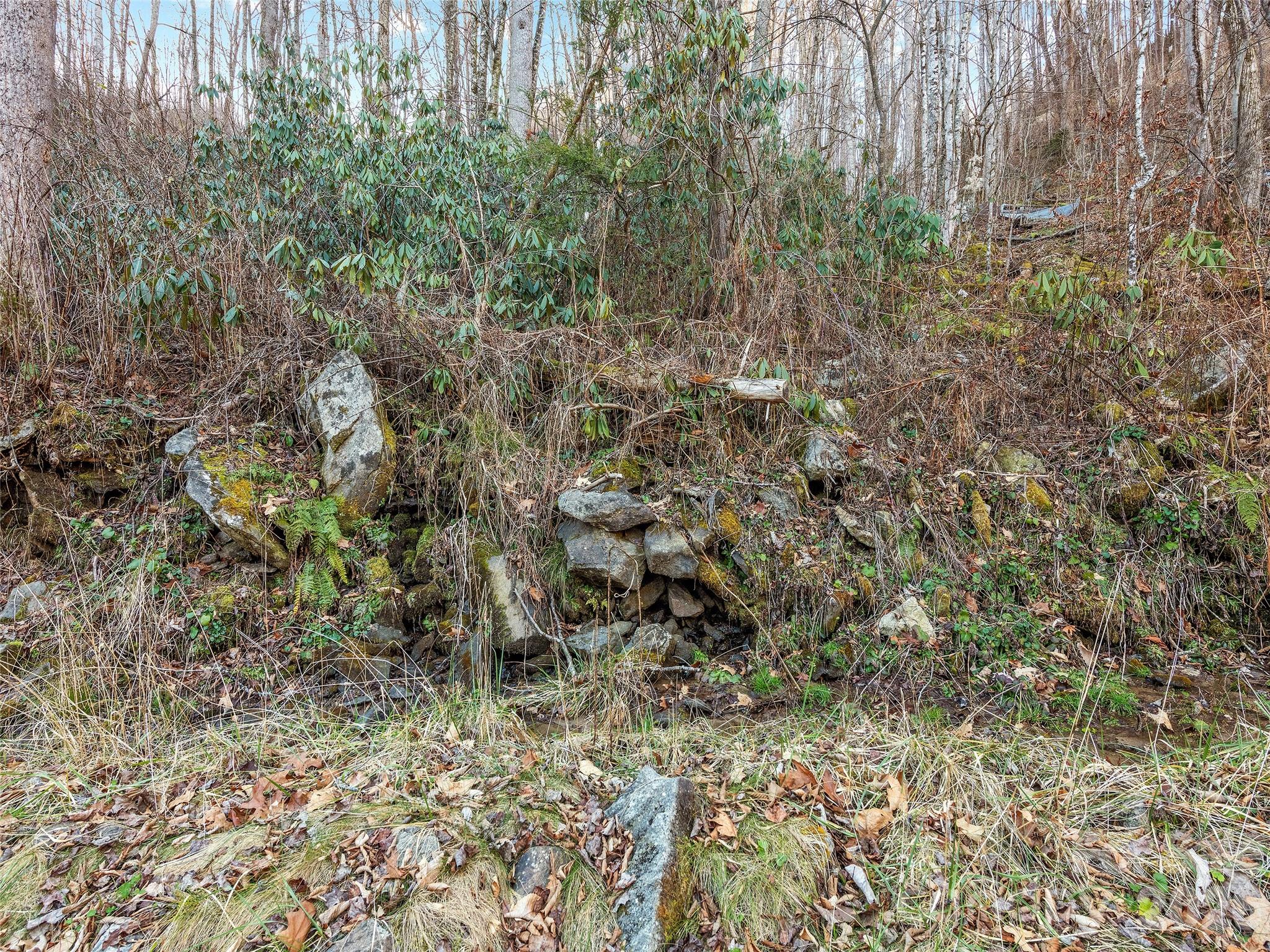 00 Nc 209 Highway Property Photo 23