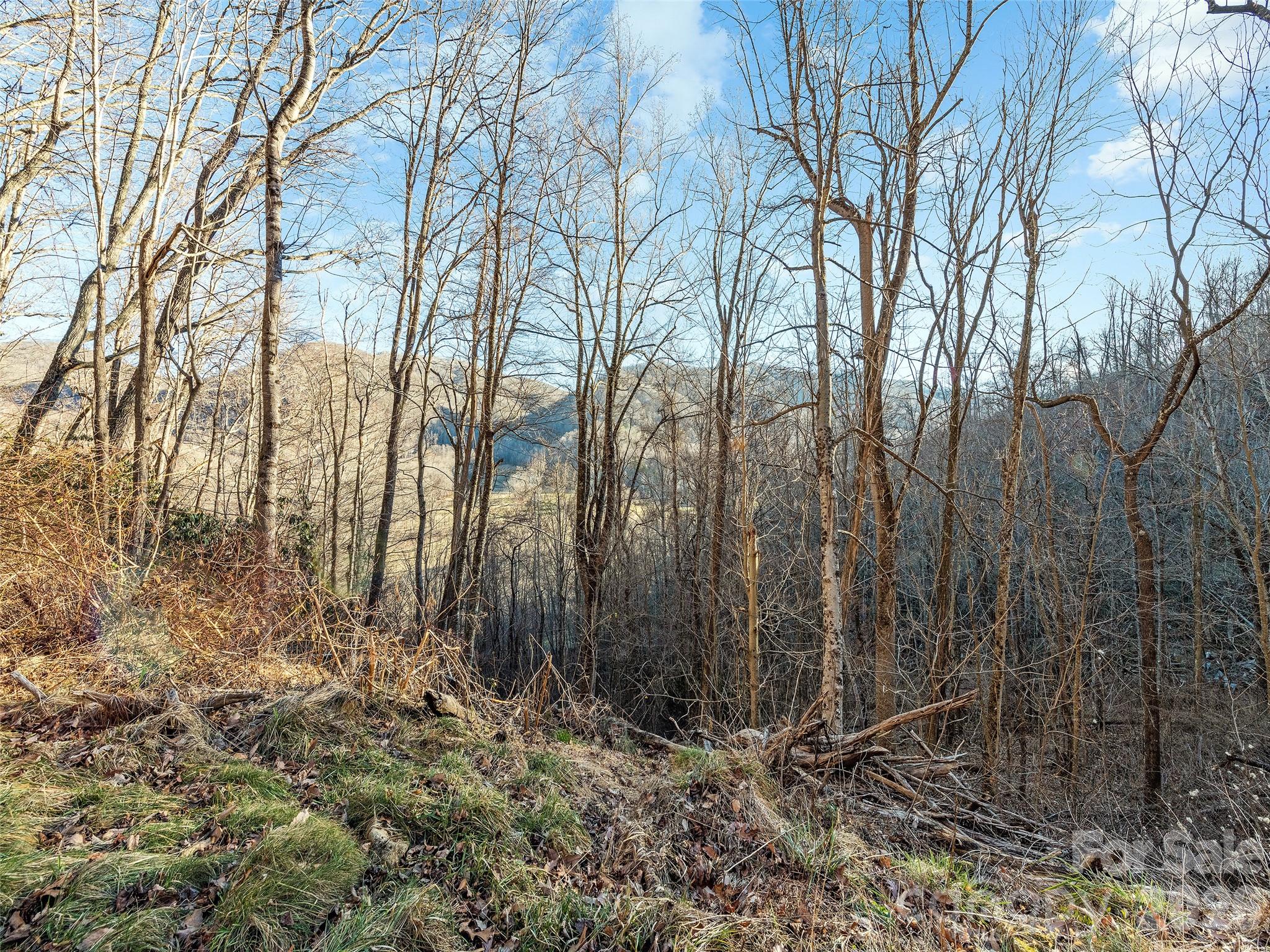 00 Nc 209 Highway Property Photo 24