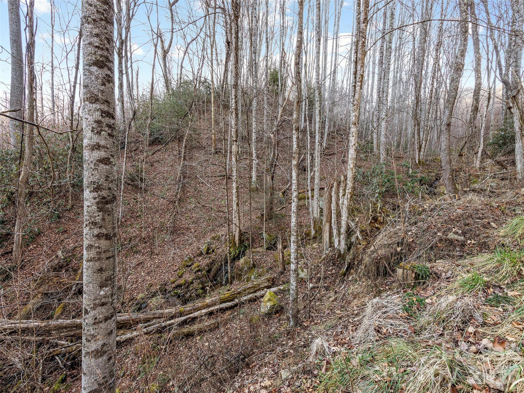 00 Nc 209 Highway Property Photo 25