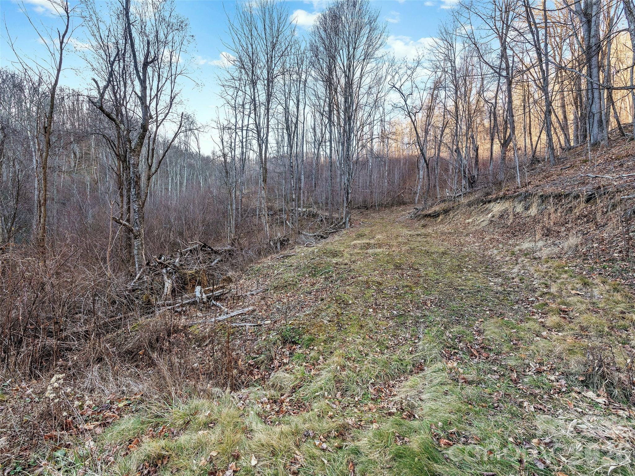 00 Nc 209 Highway Property Photo 26