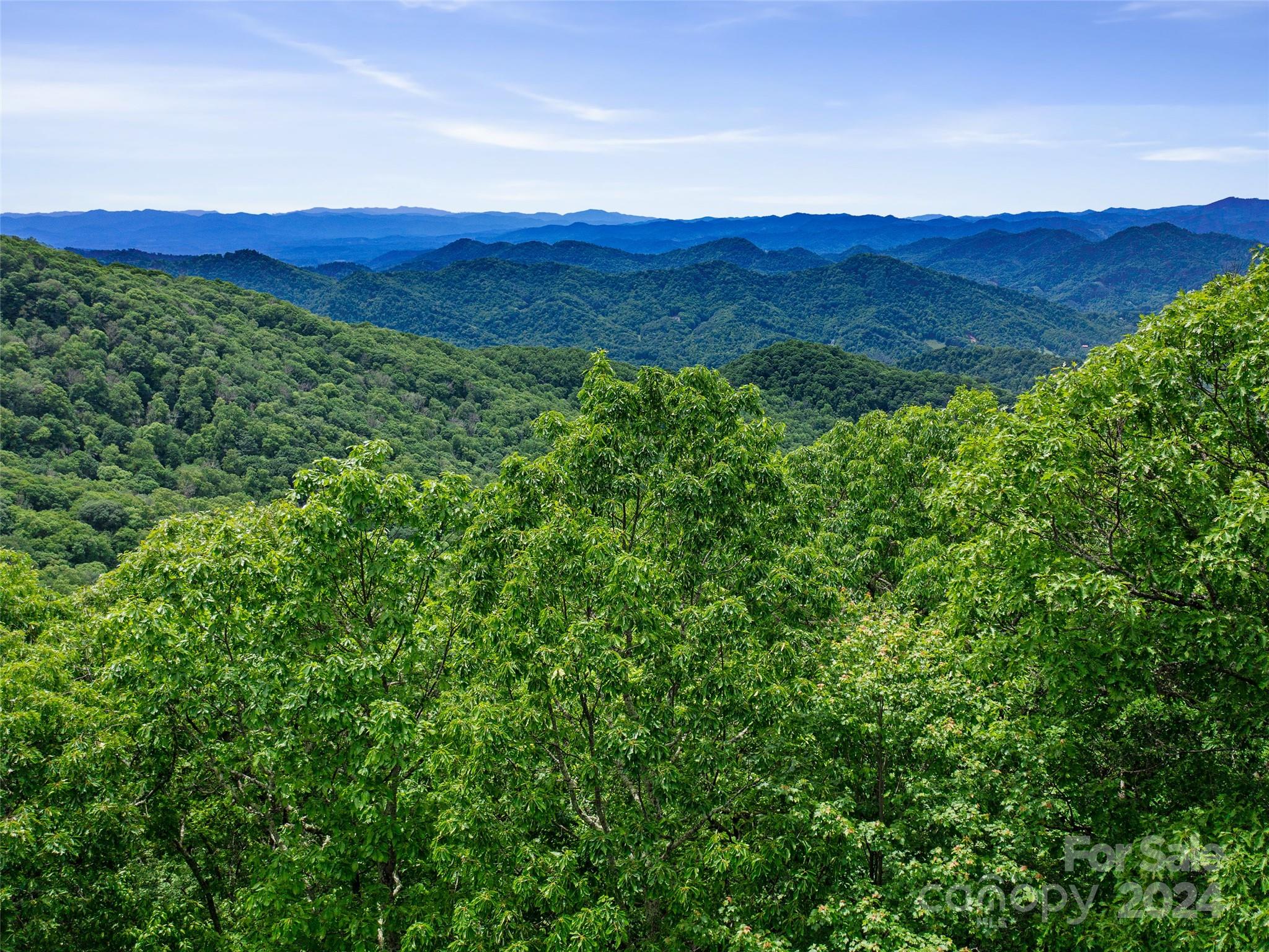 Lot 17 Old Growth Forest Road Property Photo 1