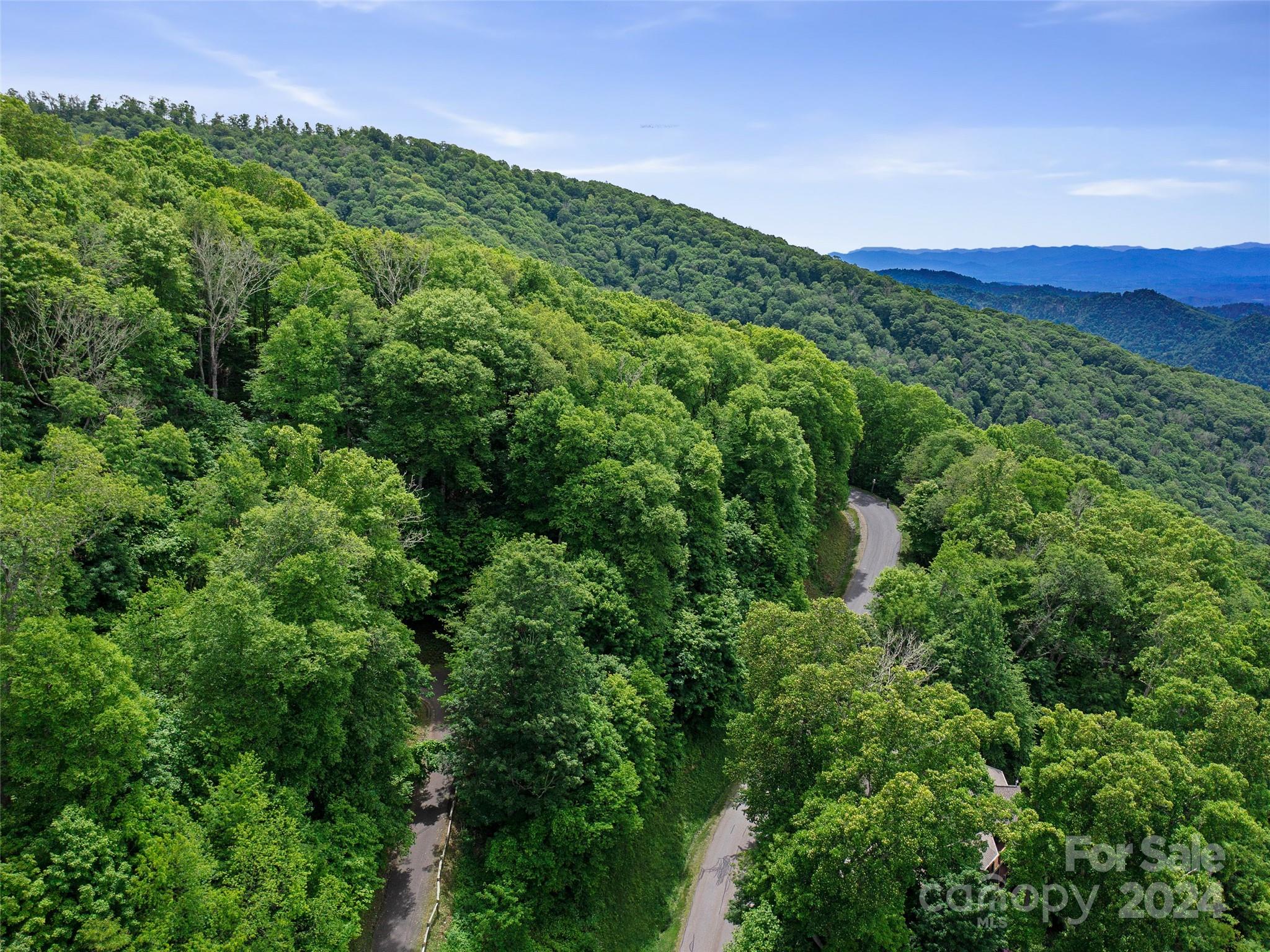 Lot 17 Old Growth Forest Road Property Photo 2
