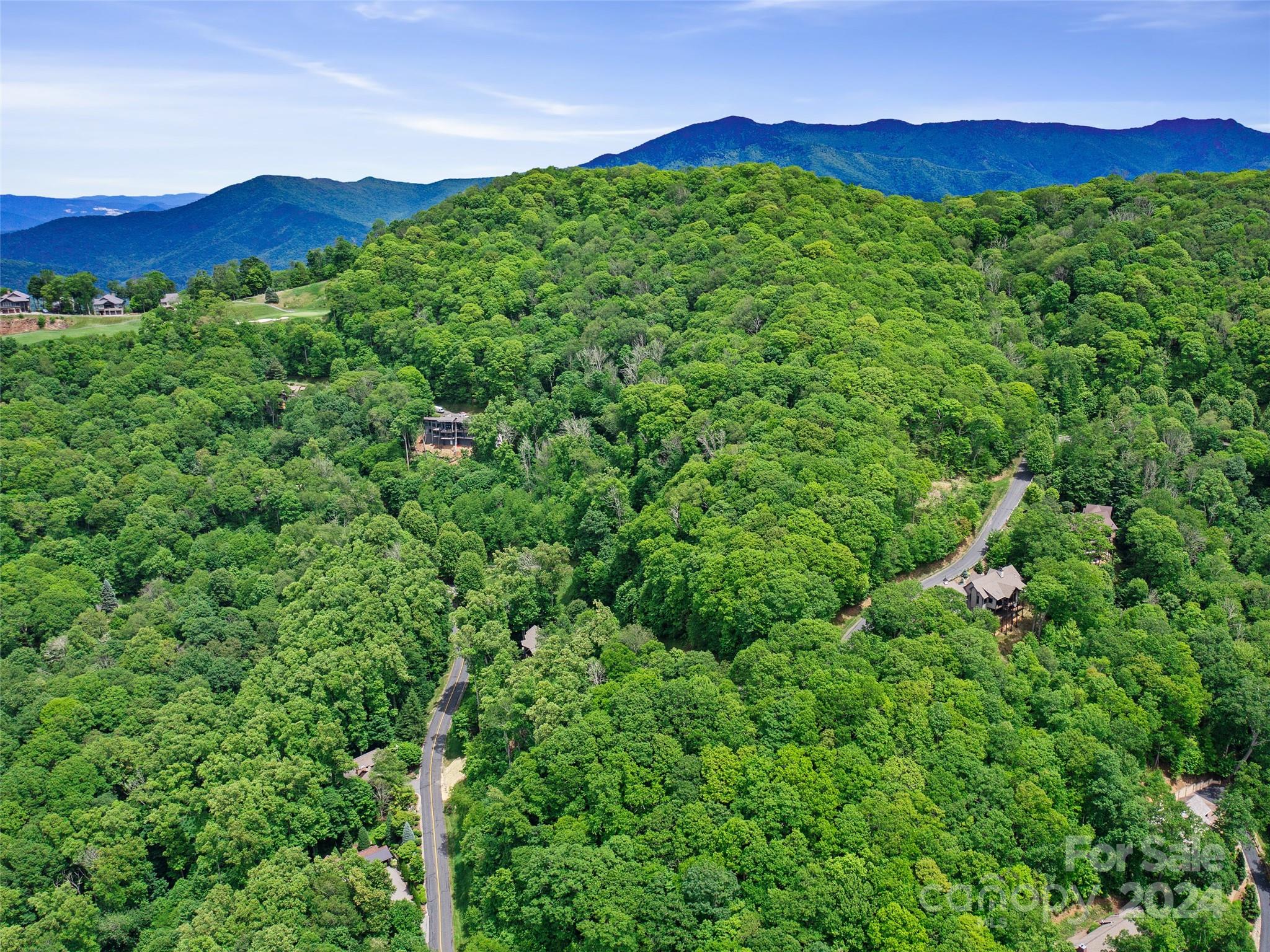 Lot 17 Old Growth Forest Road Property Photo 3