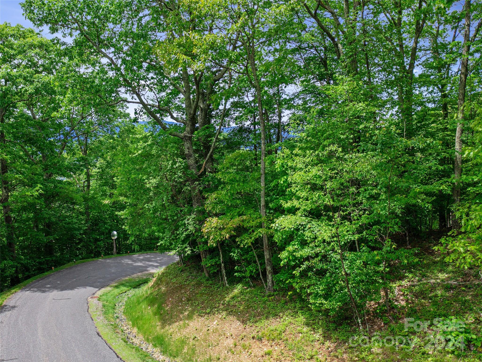 Lot 17 Old Growth Forest Road Property Photo 4