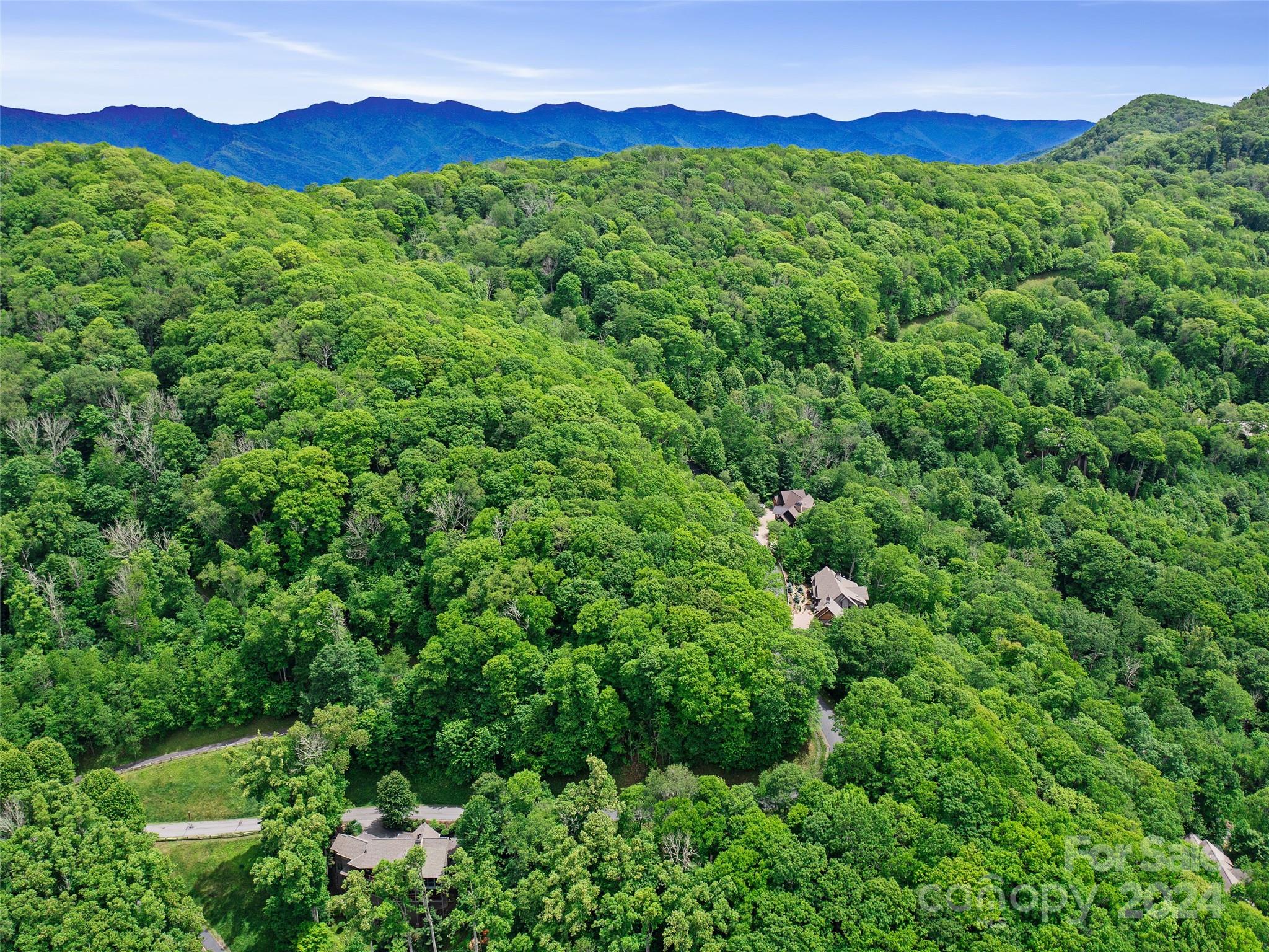 Lot 17 Old Growth Forest Road Property Photo 5