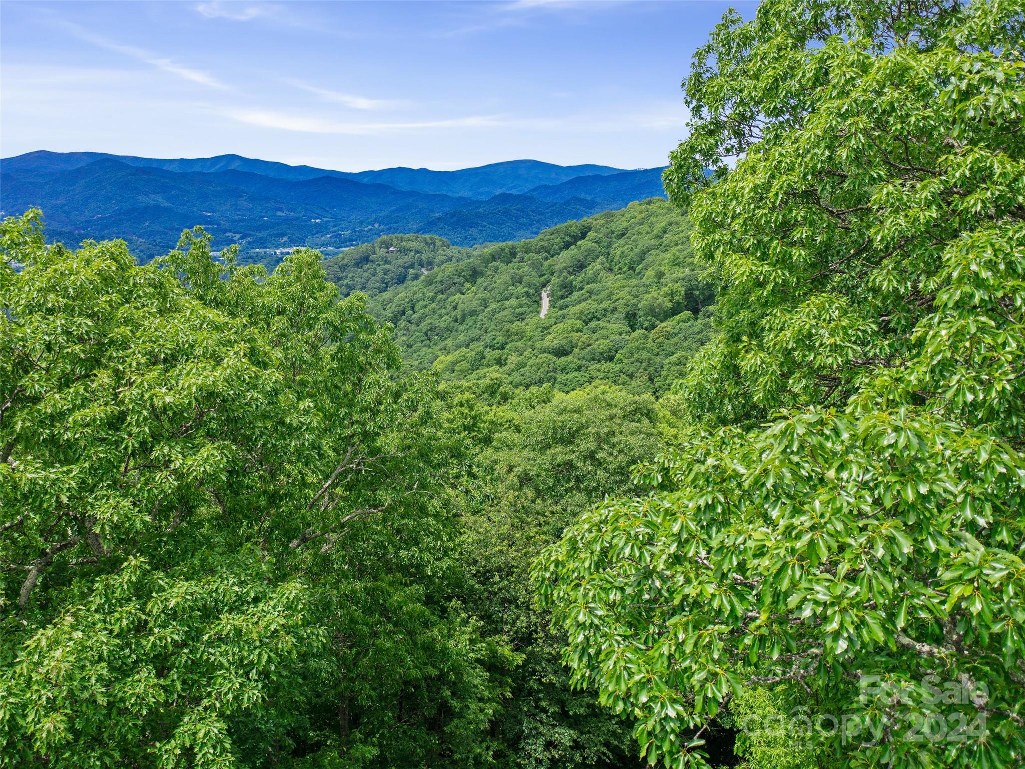 Lot 17 Old Growth Forest Road Property Photo 7