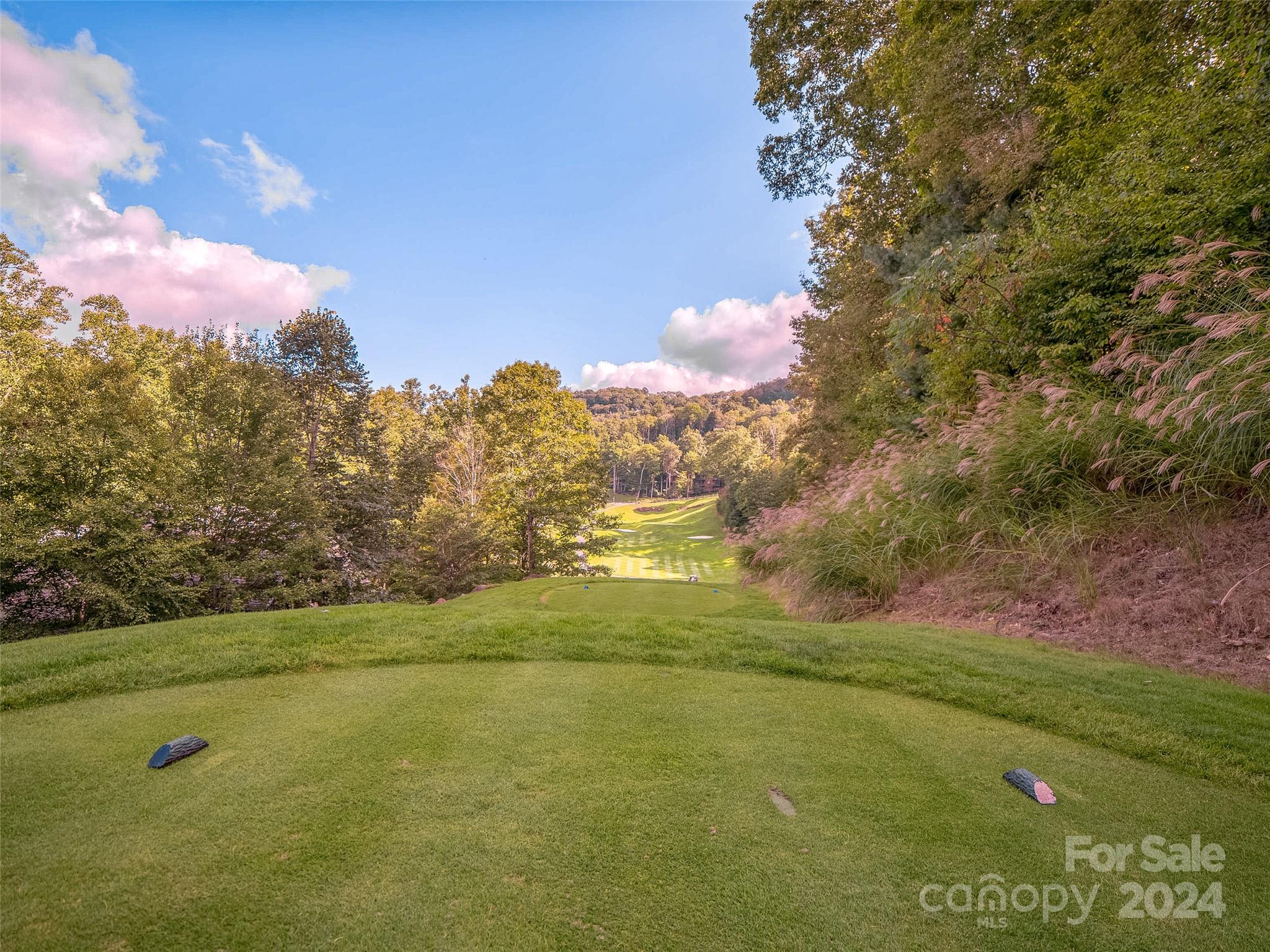 Lot 17 Old Growth Forest Road Property Photo 14