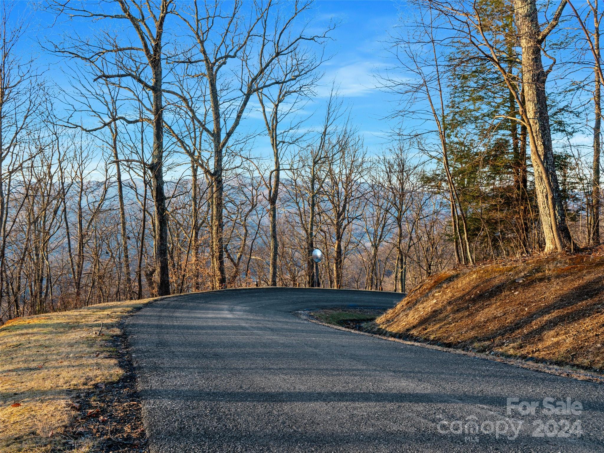 Lot 17 Old Growth Forest Road Property Photo 17