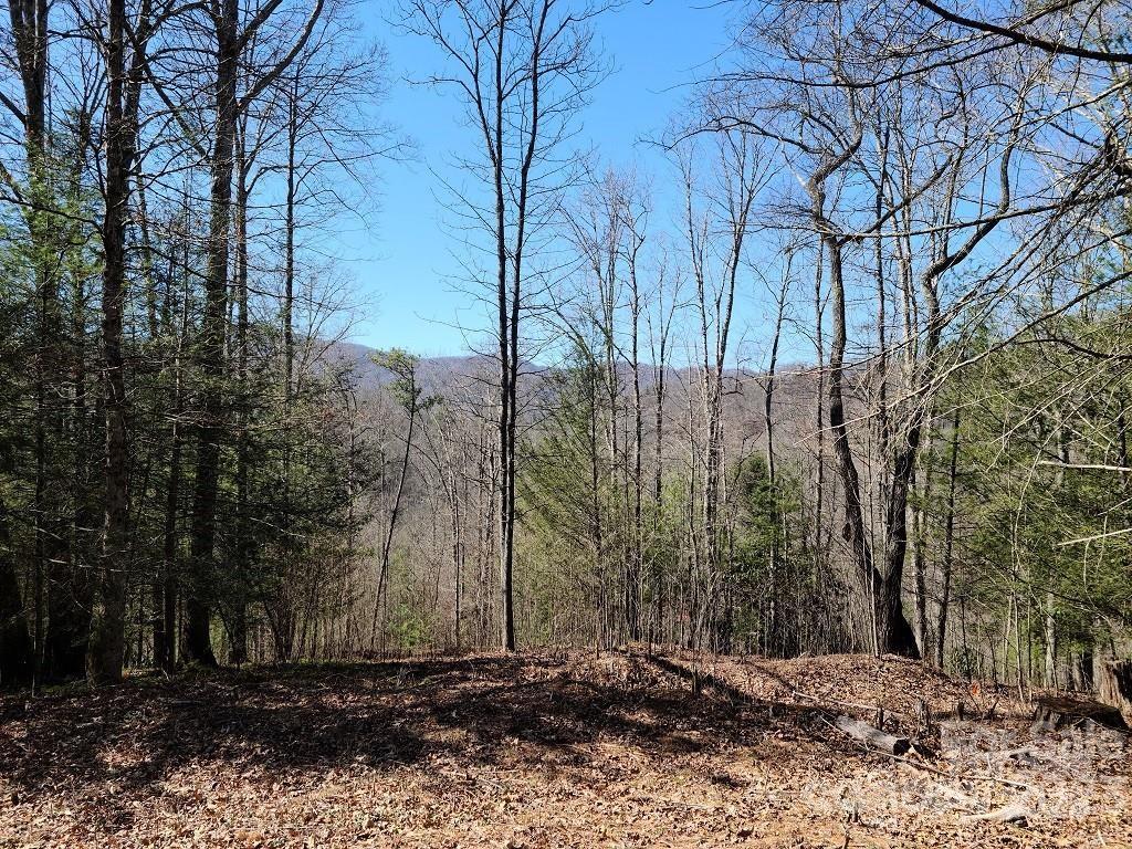 000 Elise Way Lot 7 Property Photo 1