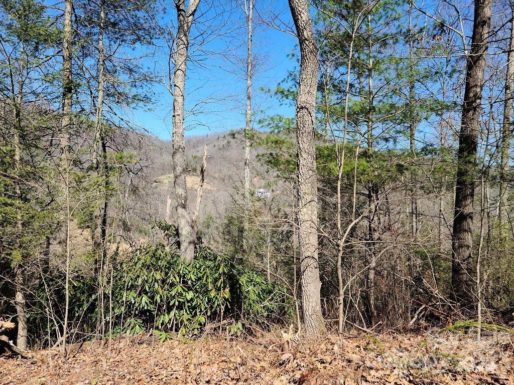 000 Elise Way Lot 7 Property Photo 3