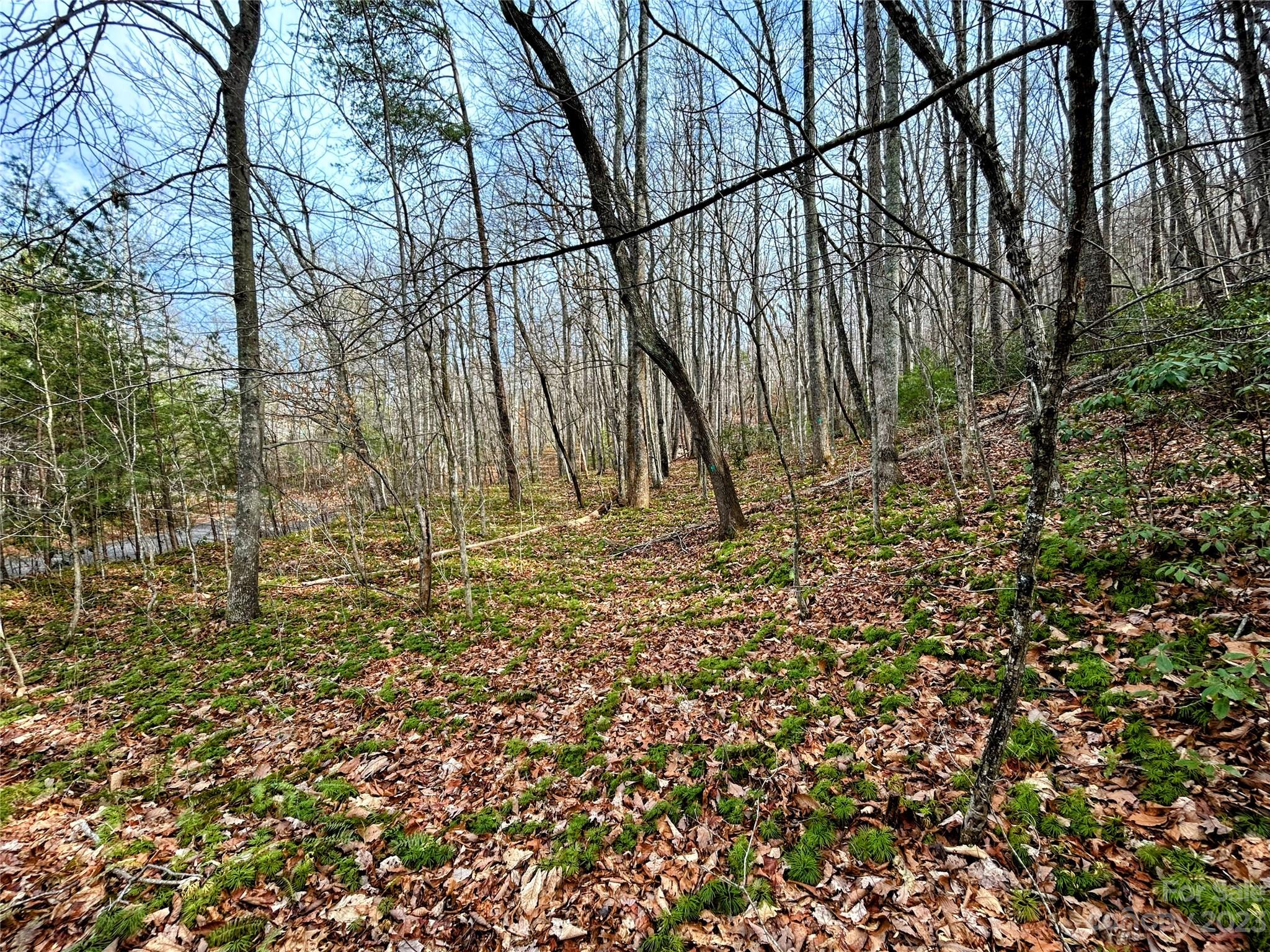 Lot 7 Azalea Way Property Photo 1