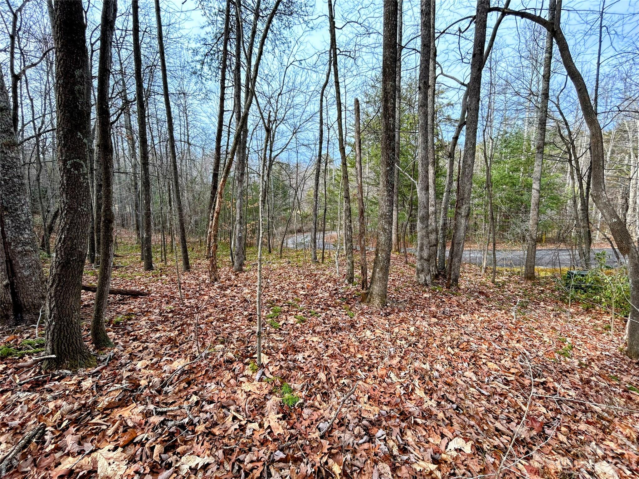 Lot 7 Azalea Way Property Photo 2