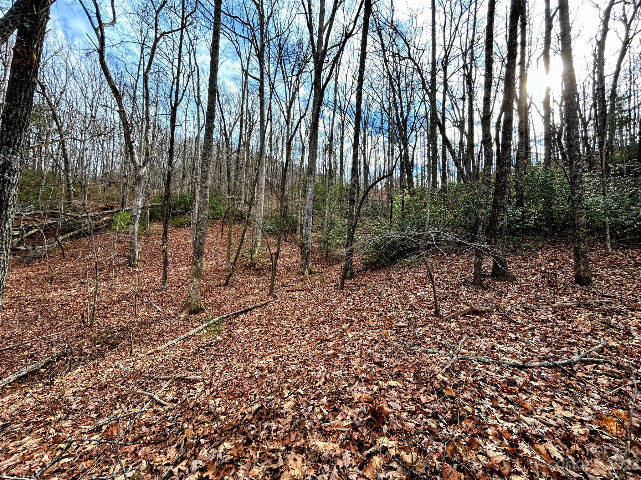 Lot 7 Azalea Way Property Photo 3