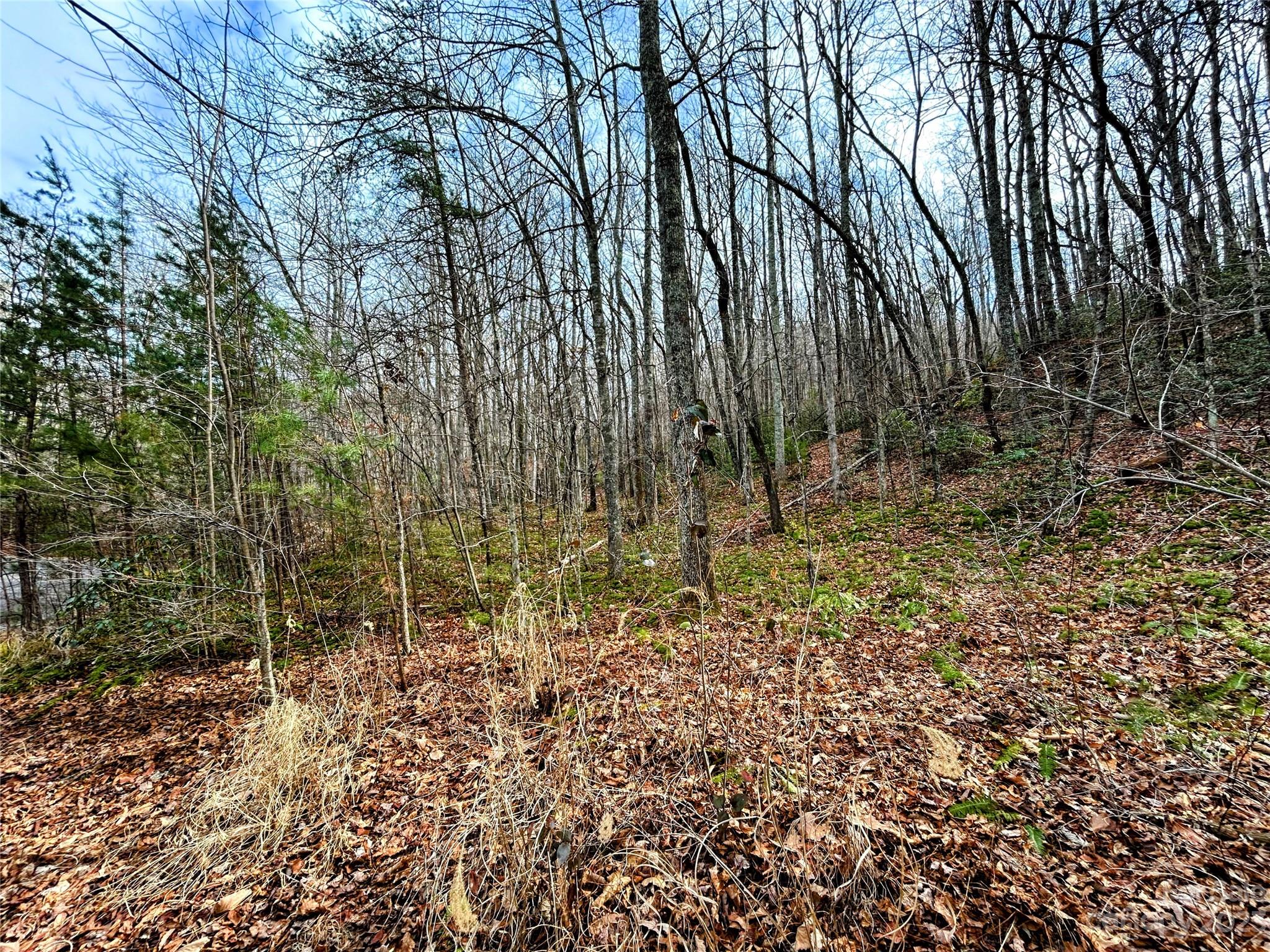 Lot 7 Azalea Way Property Photo 4