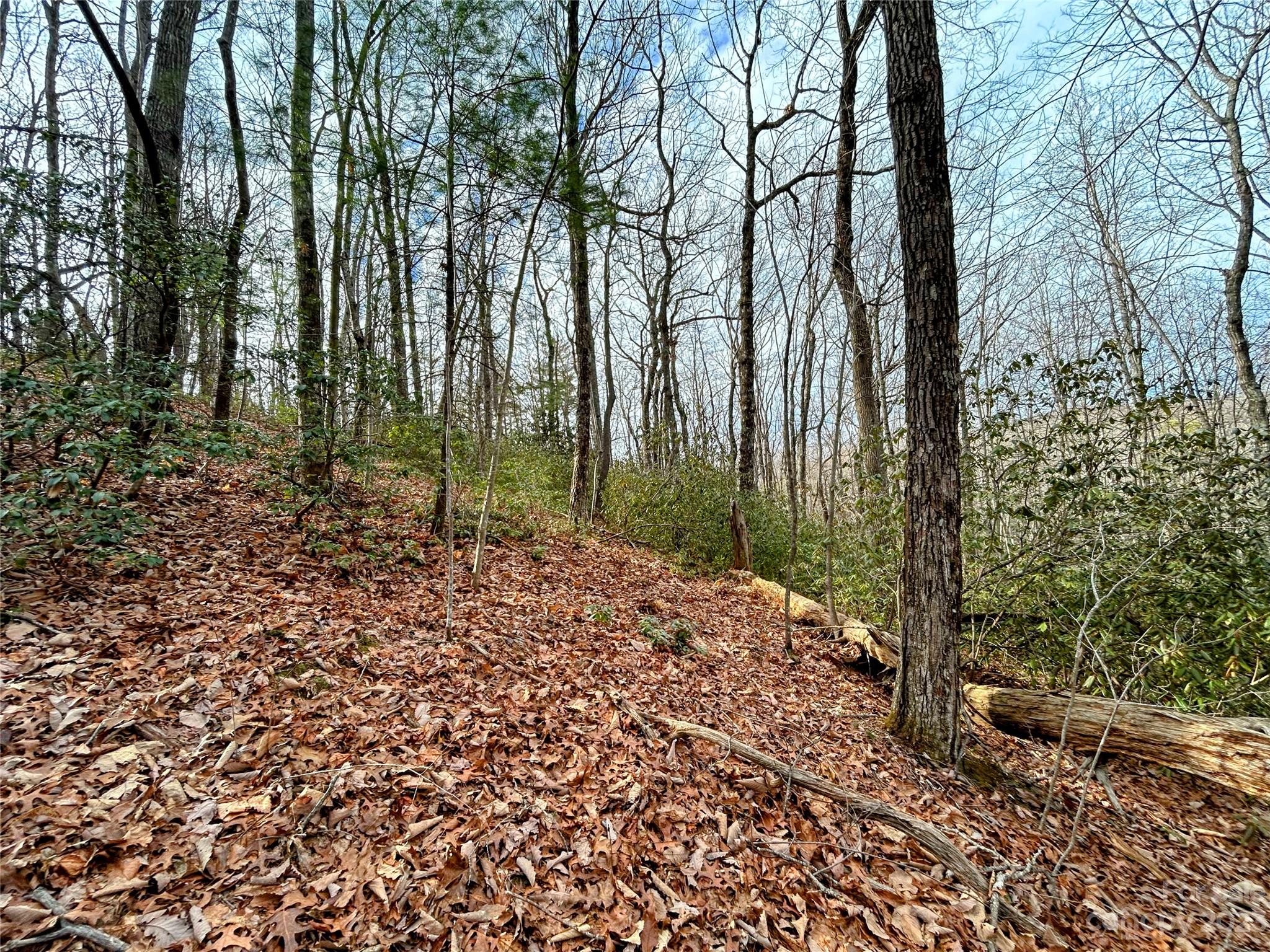Lot 7 Azalea Way Property Photo 5