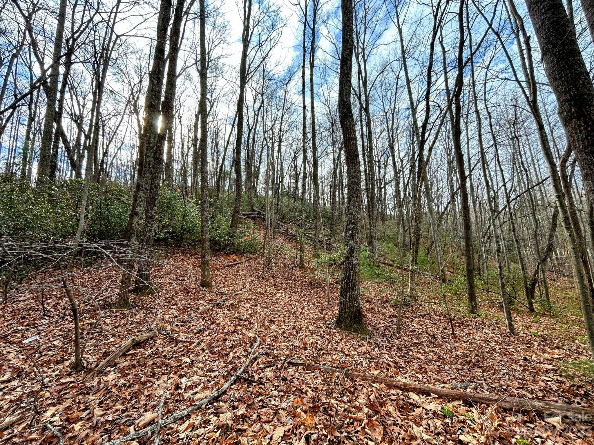 Lot 7 Azalea Way Property Photo 6