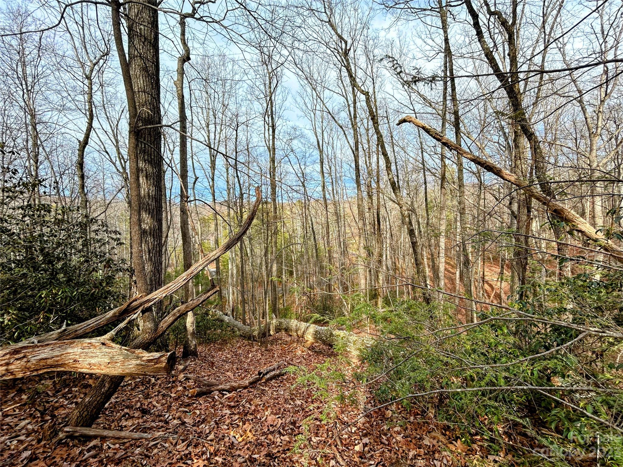 Lot 7 Azalea Way Property Photo 7