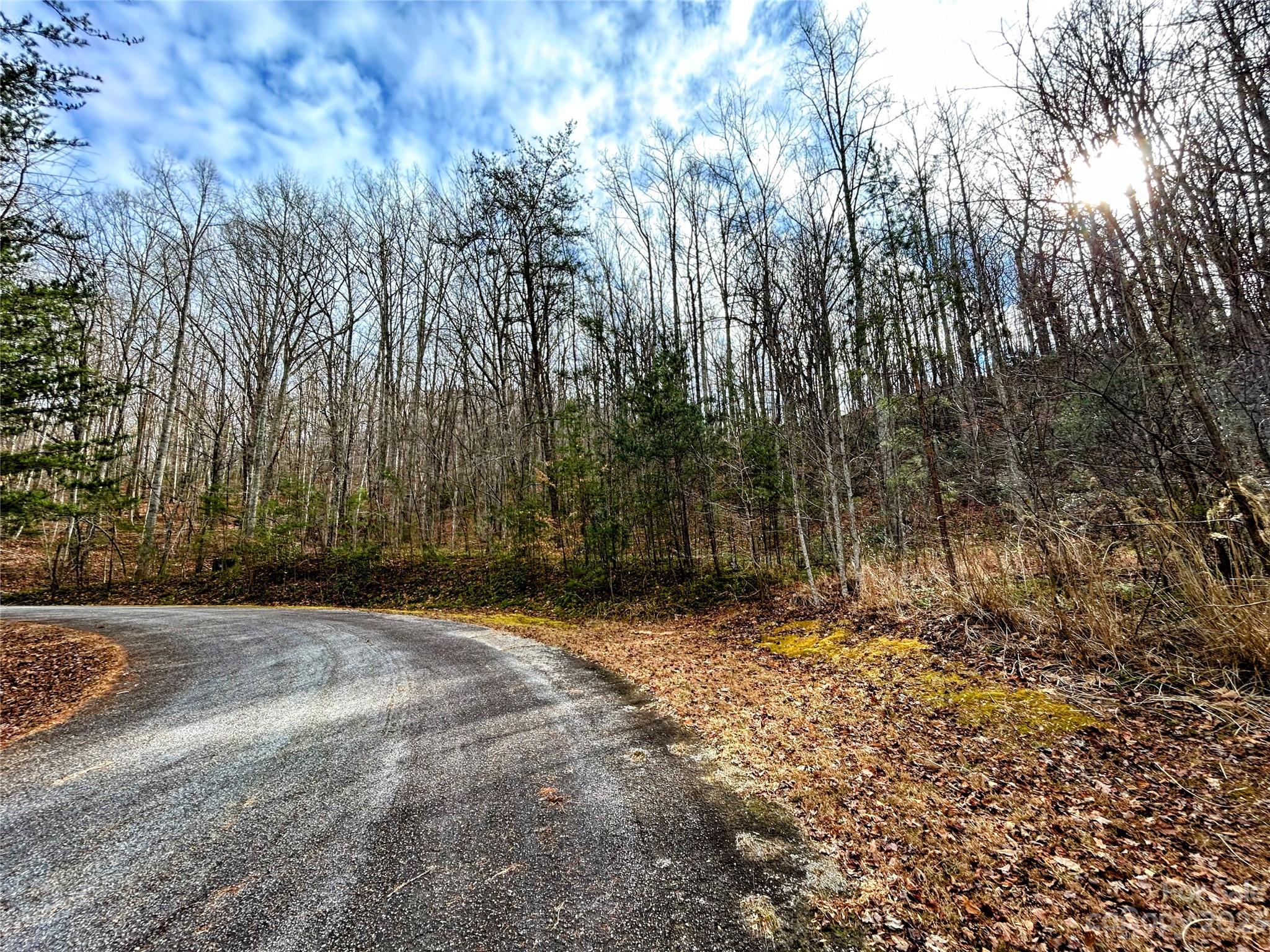 Lot 7 Azalea Way Property Photo 8