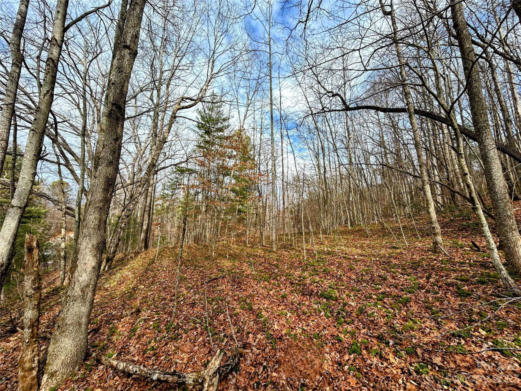 Lot 8 Azalea Way Property Photo 1