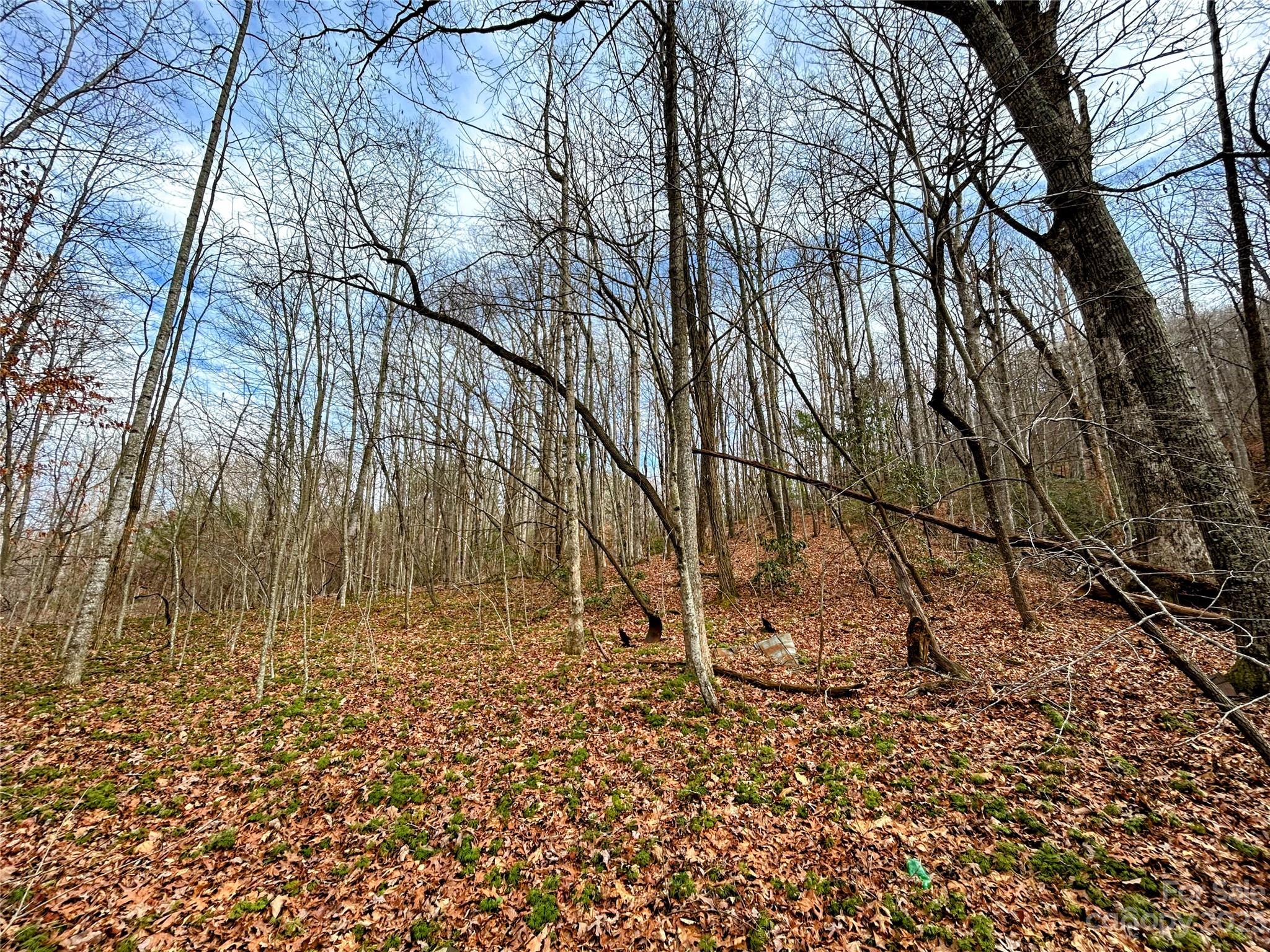 Lot 8 Azalea Way Property Photo 2