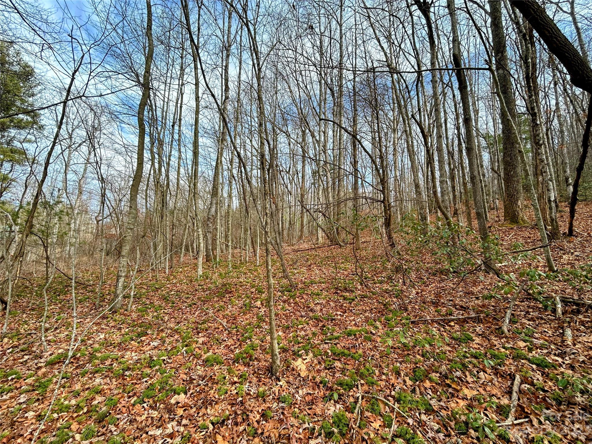 Lot 8 Azalea Way Property Photo 3