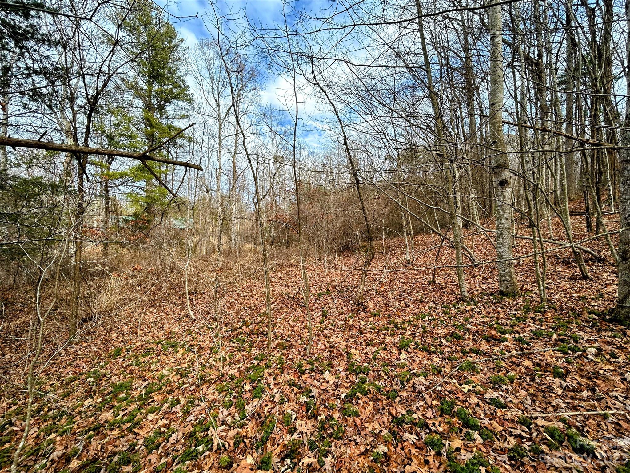 Lot 8 Azalea Way Property Photo 4