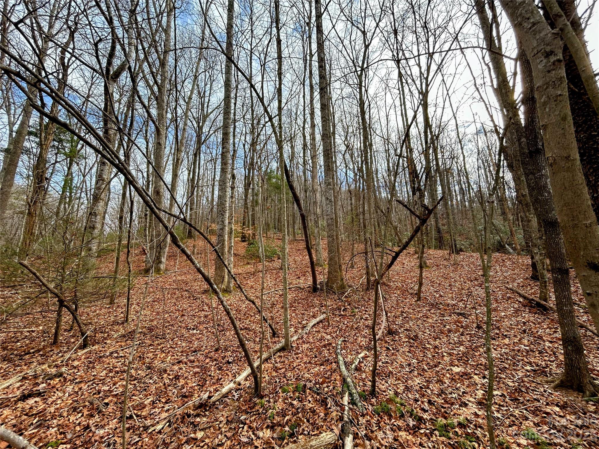 Lot 8 Azalea Way Property Photo 5