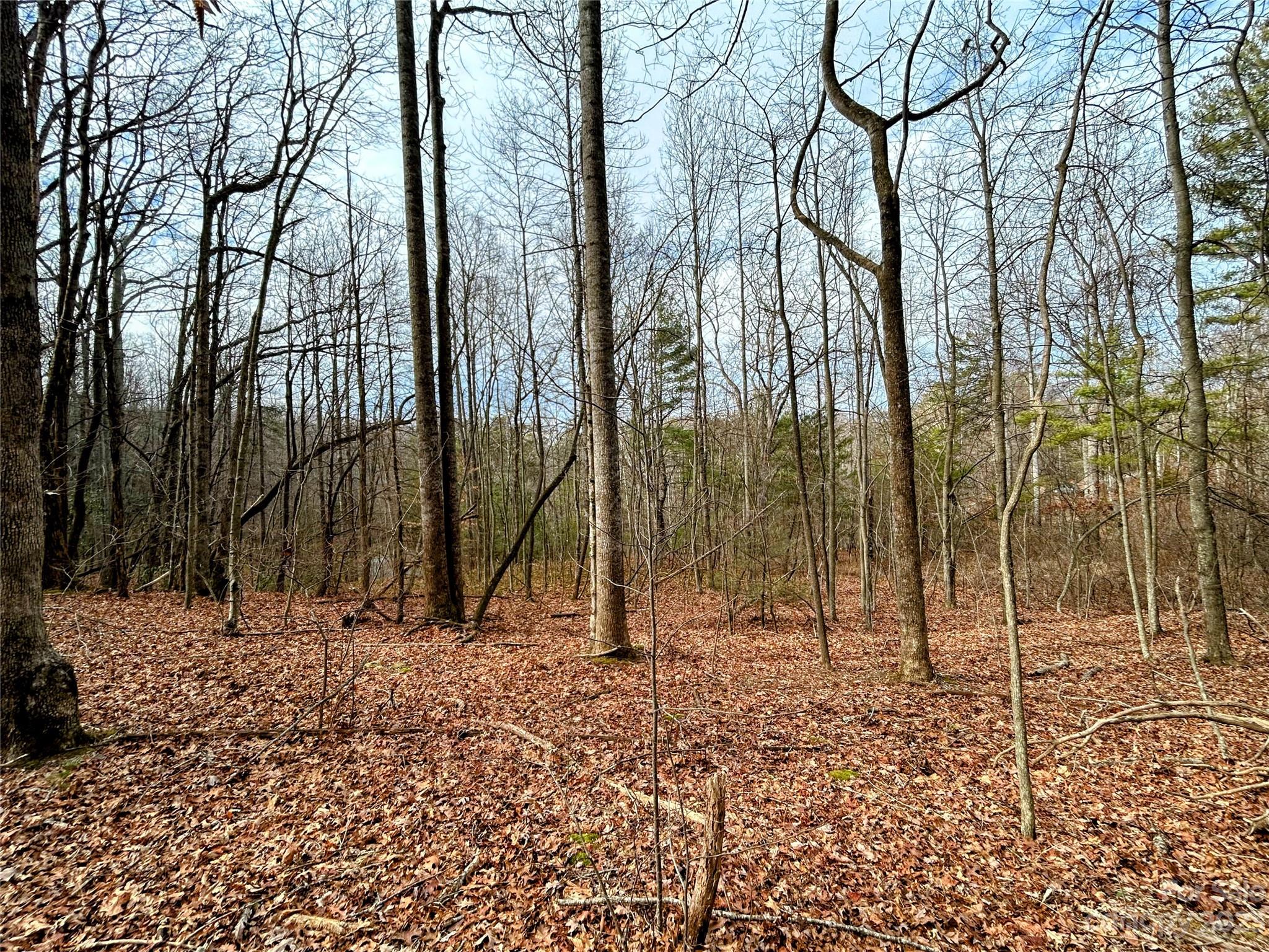 Lot 8 Azalea Way Property Photo 6