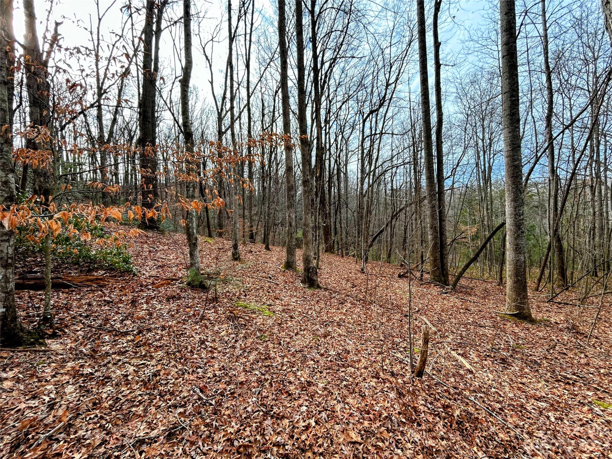 Lot 8 Azalea Way Property Photo 7